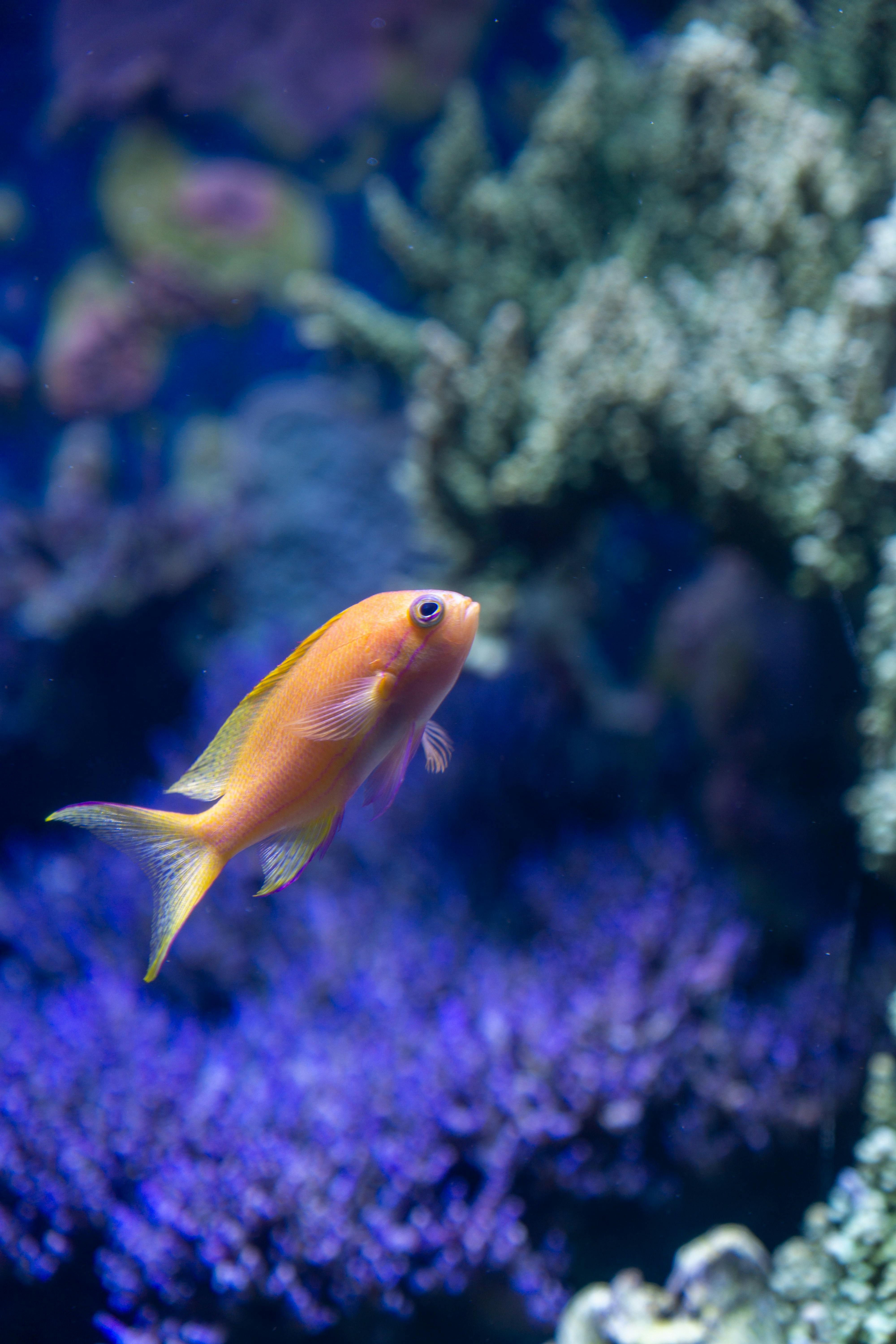 Photo by robertschwarz