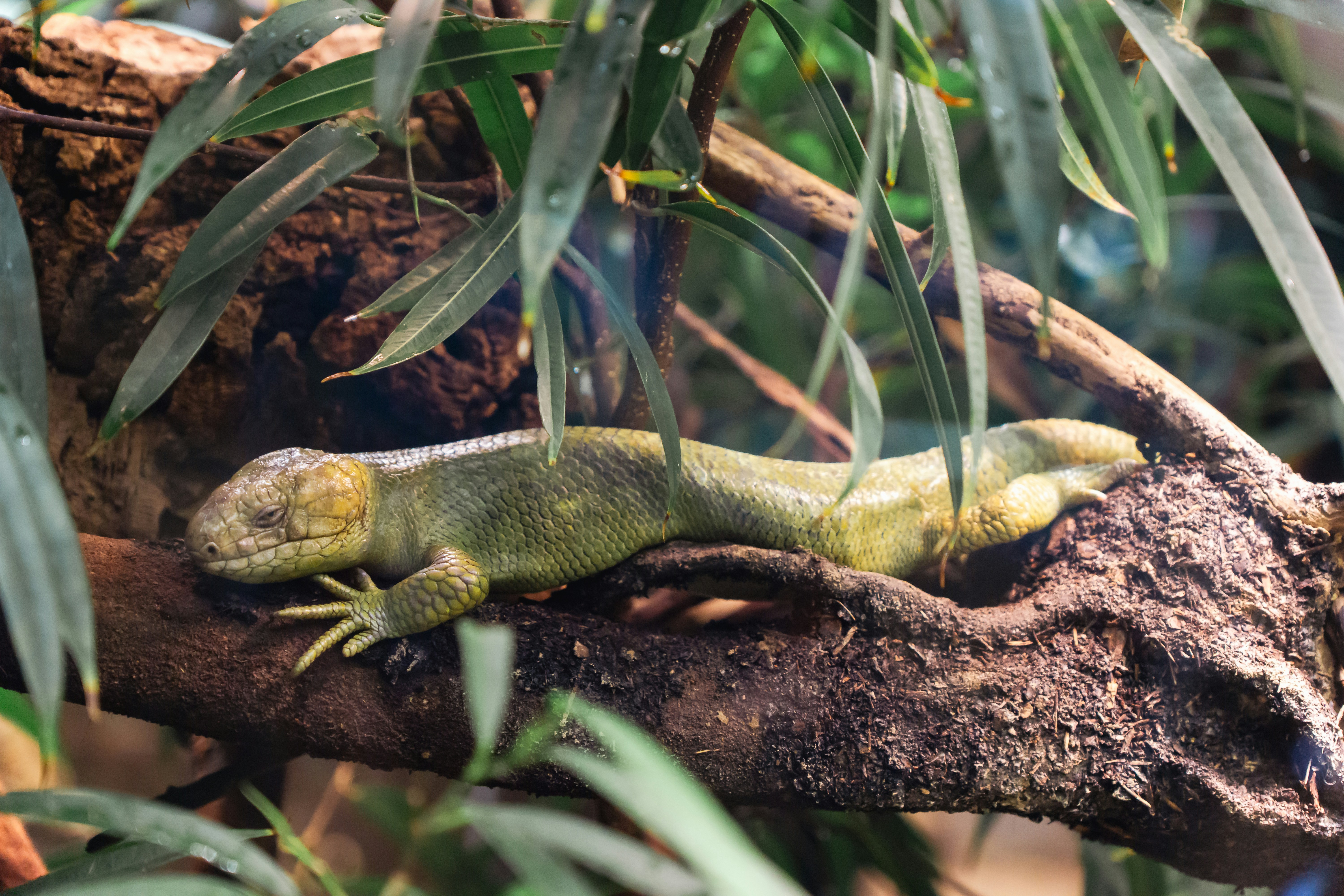 Photo by robertschwarz