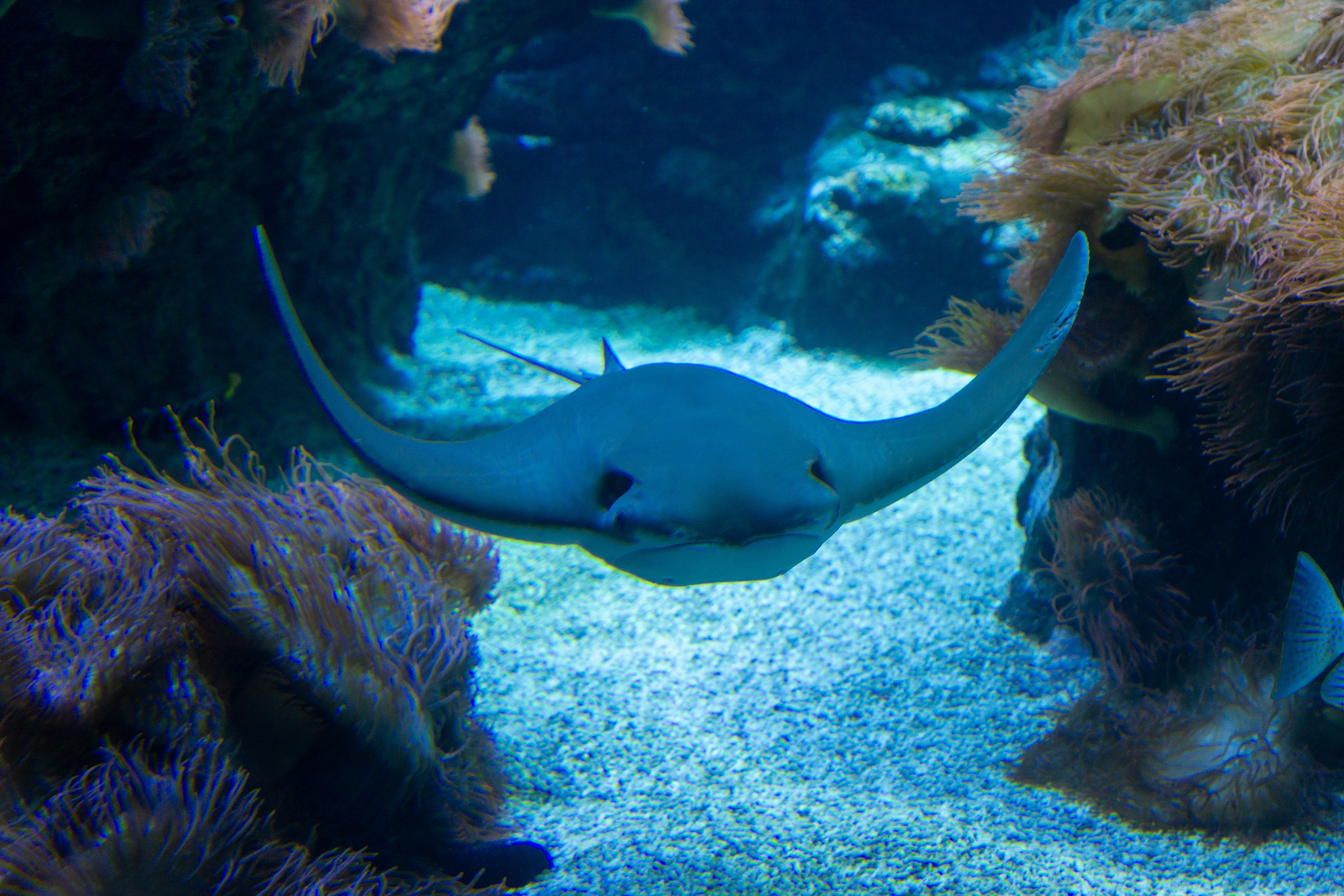 Photo by robertschwarz