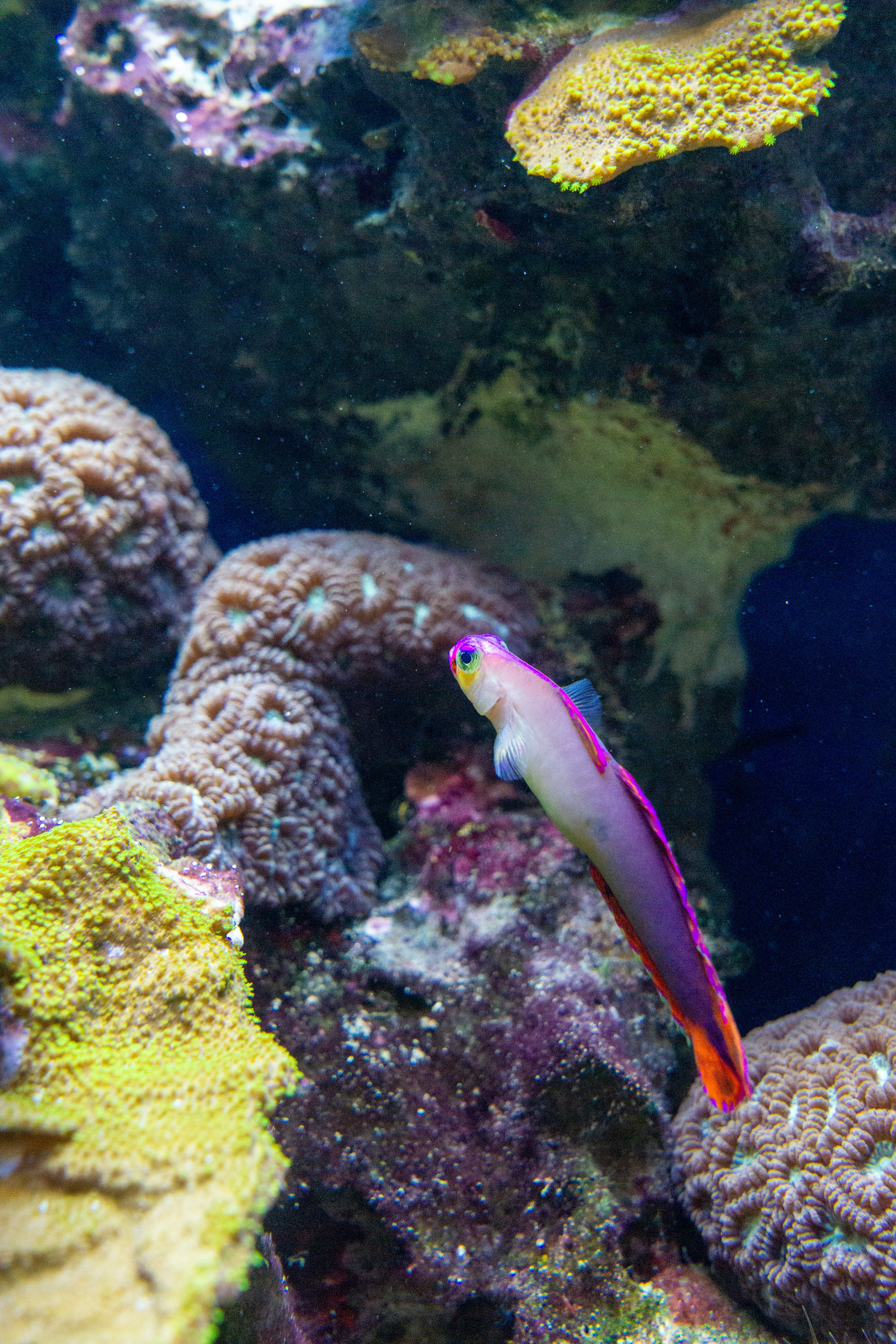 Photo by robertschwarz