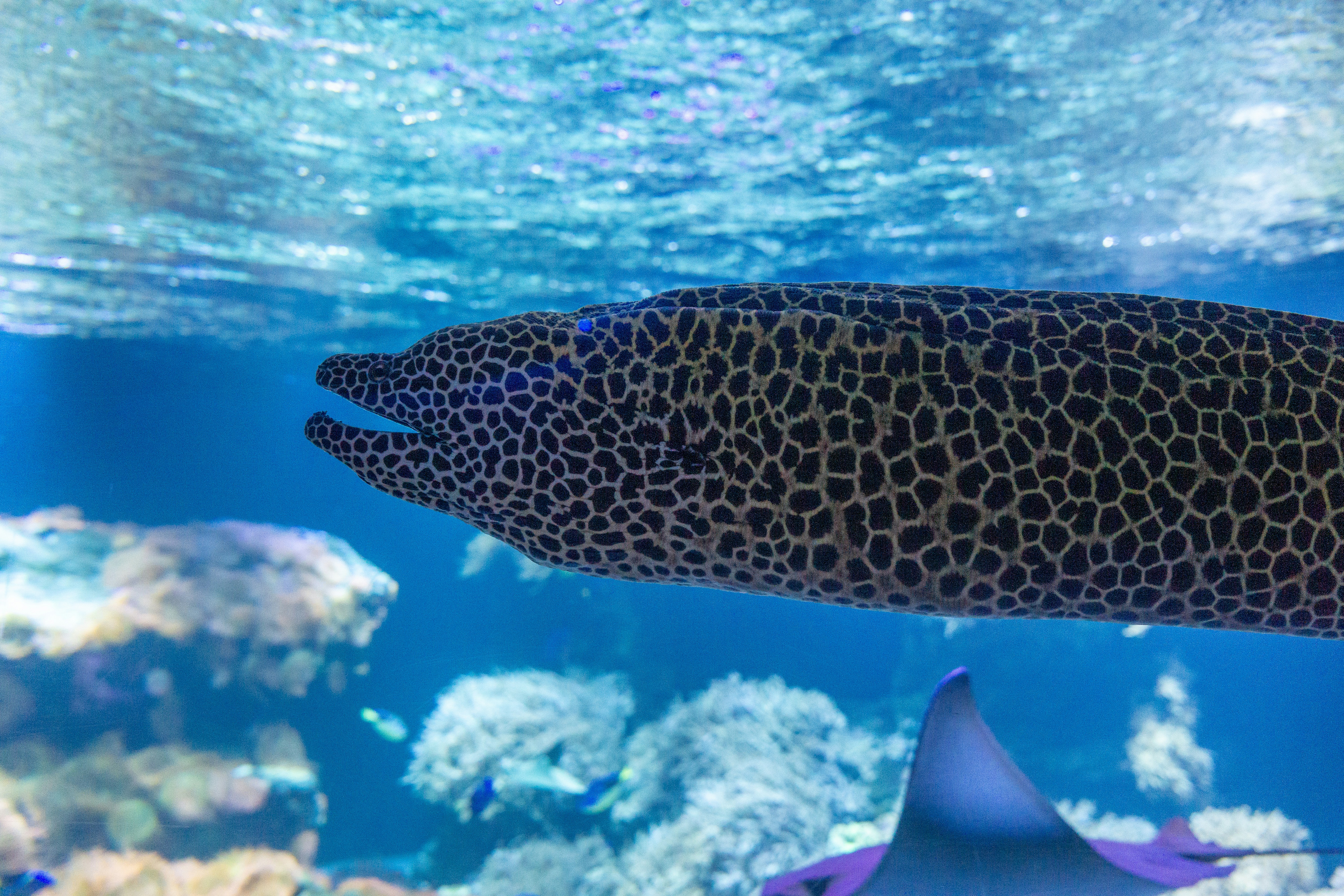 Photo by robertschwarz