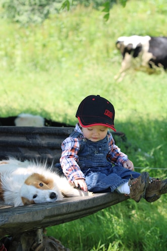a little boy sitting in a wagon with a dog