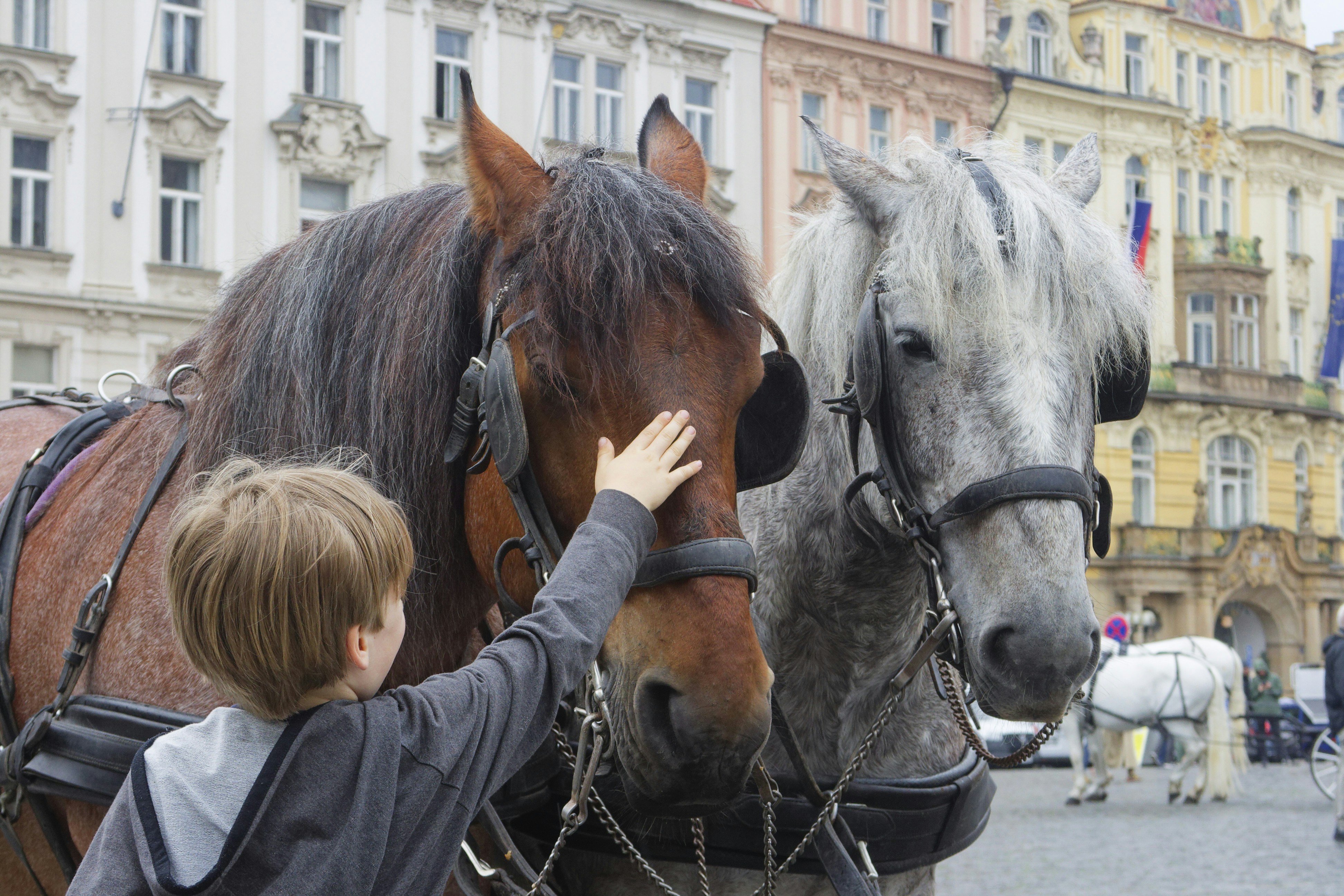 Children and Horses: A Special Bond (image credits: unsplash)
