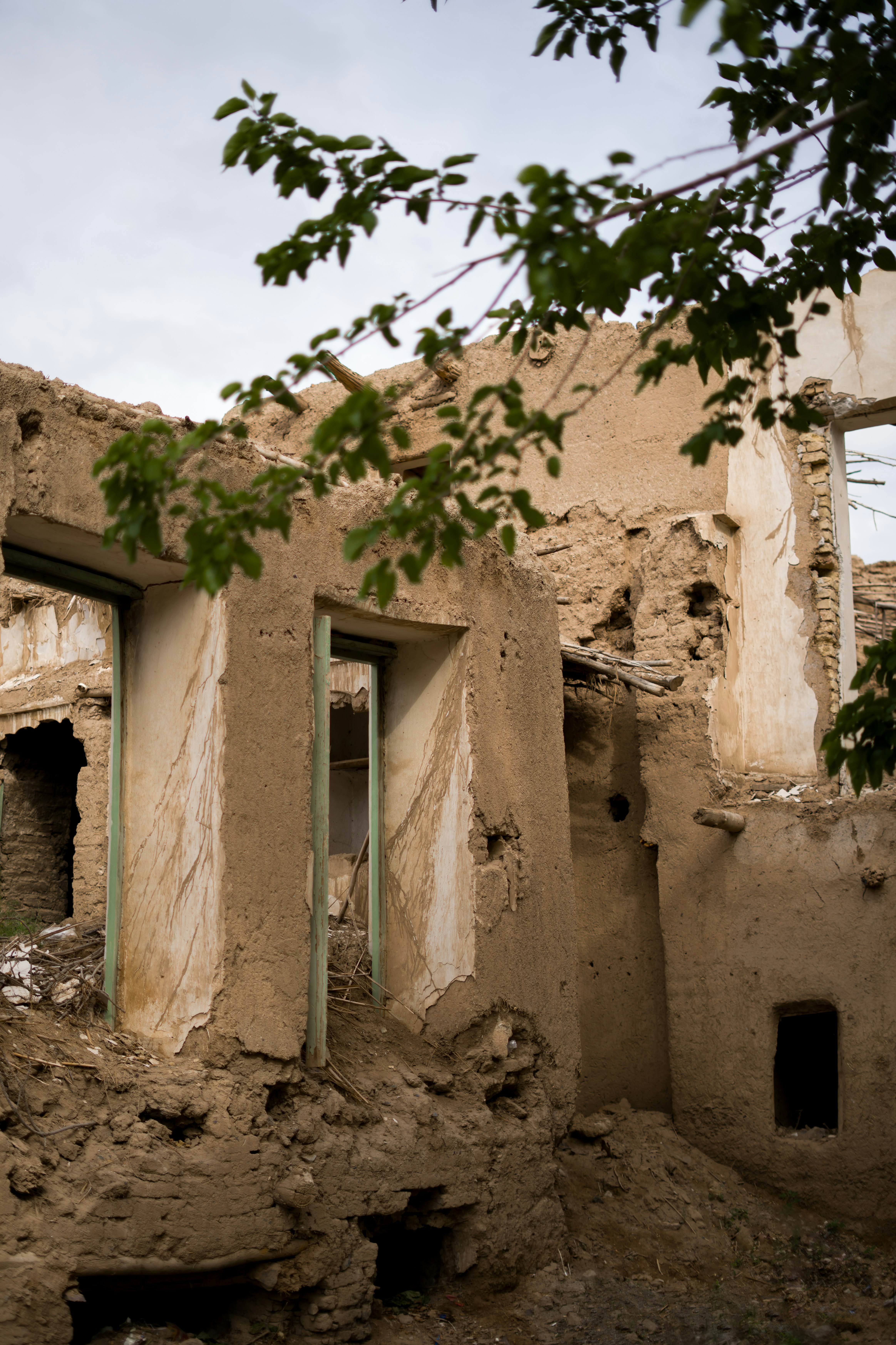 Photo by farzanehhashemi