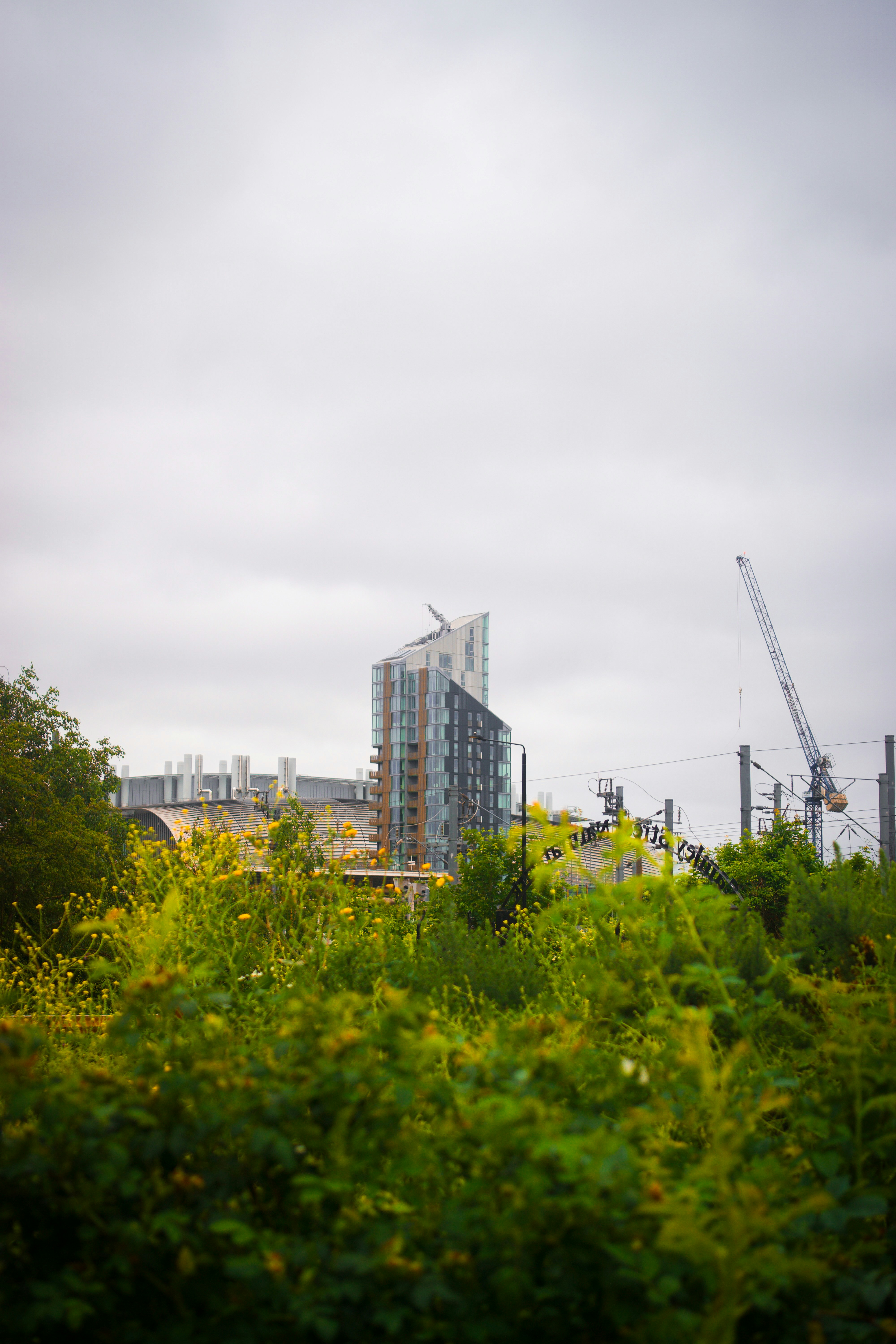 a tall building sitting next to a lush green forest