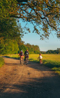 a couple of people riding bikes down a dirt road