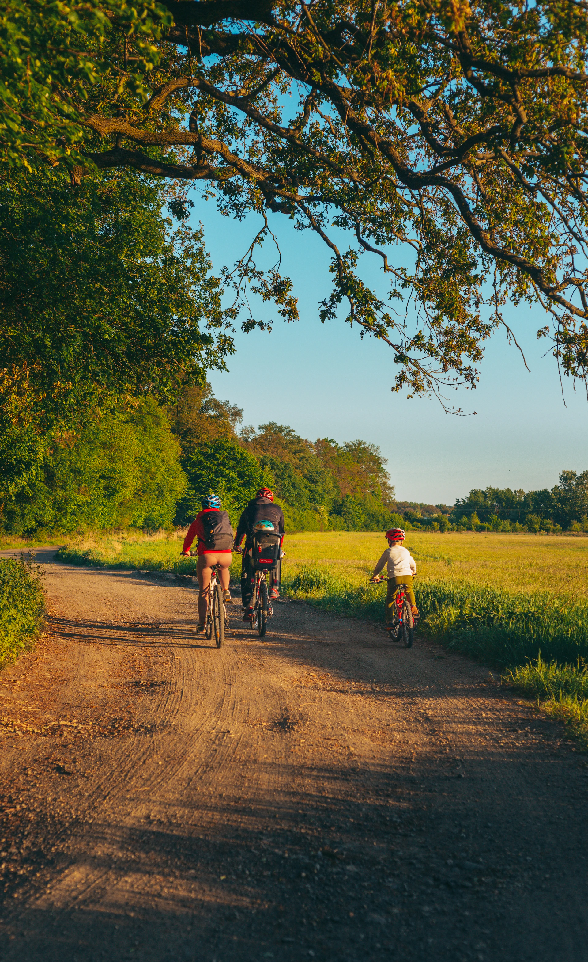 a couple of people riding bikes down a dirt road