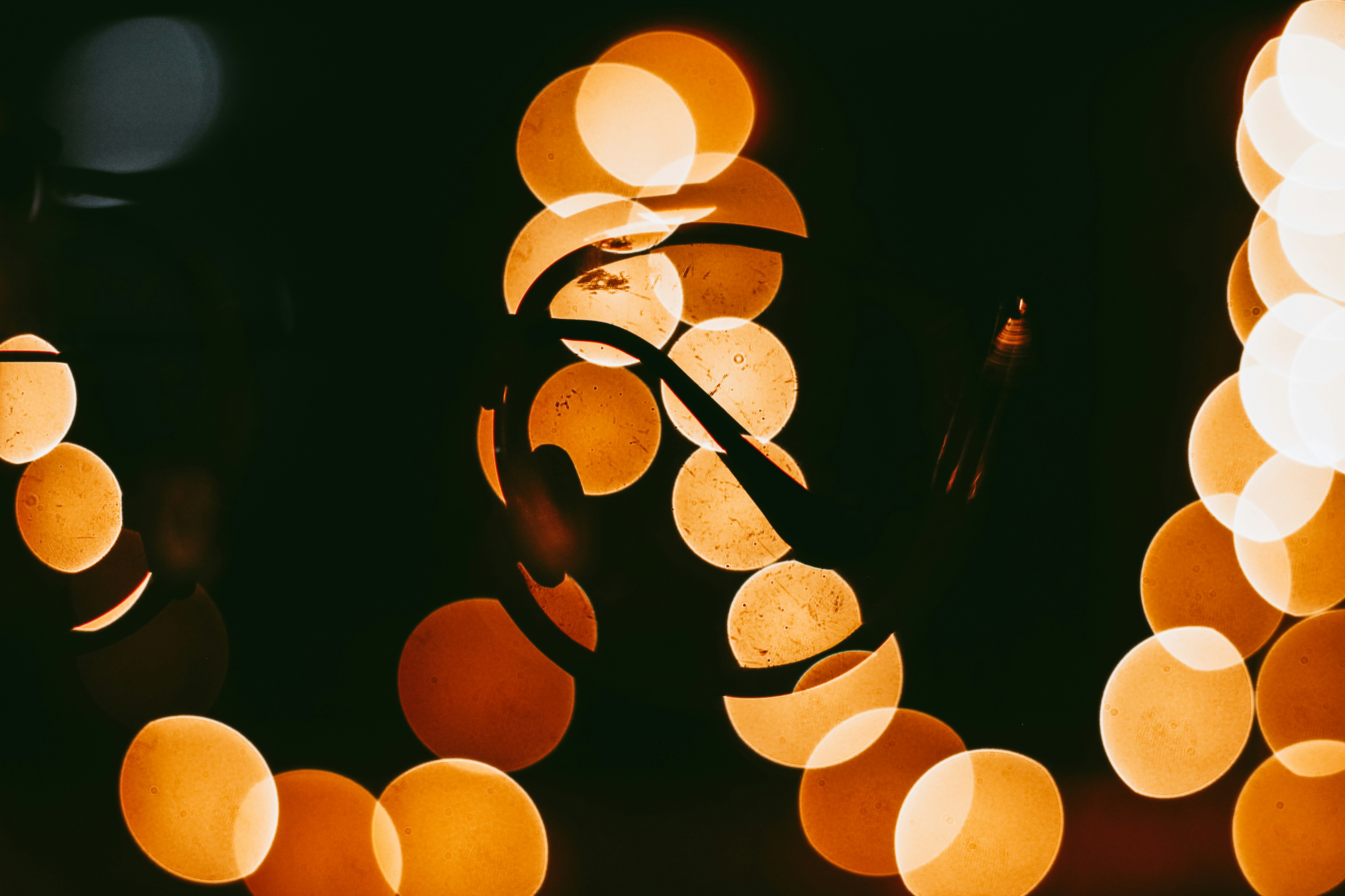 The avatar for Ada, the AI assistant, on the landing page.