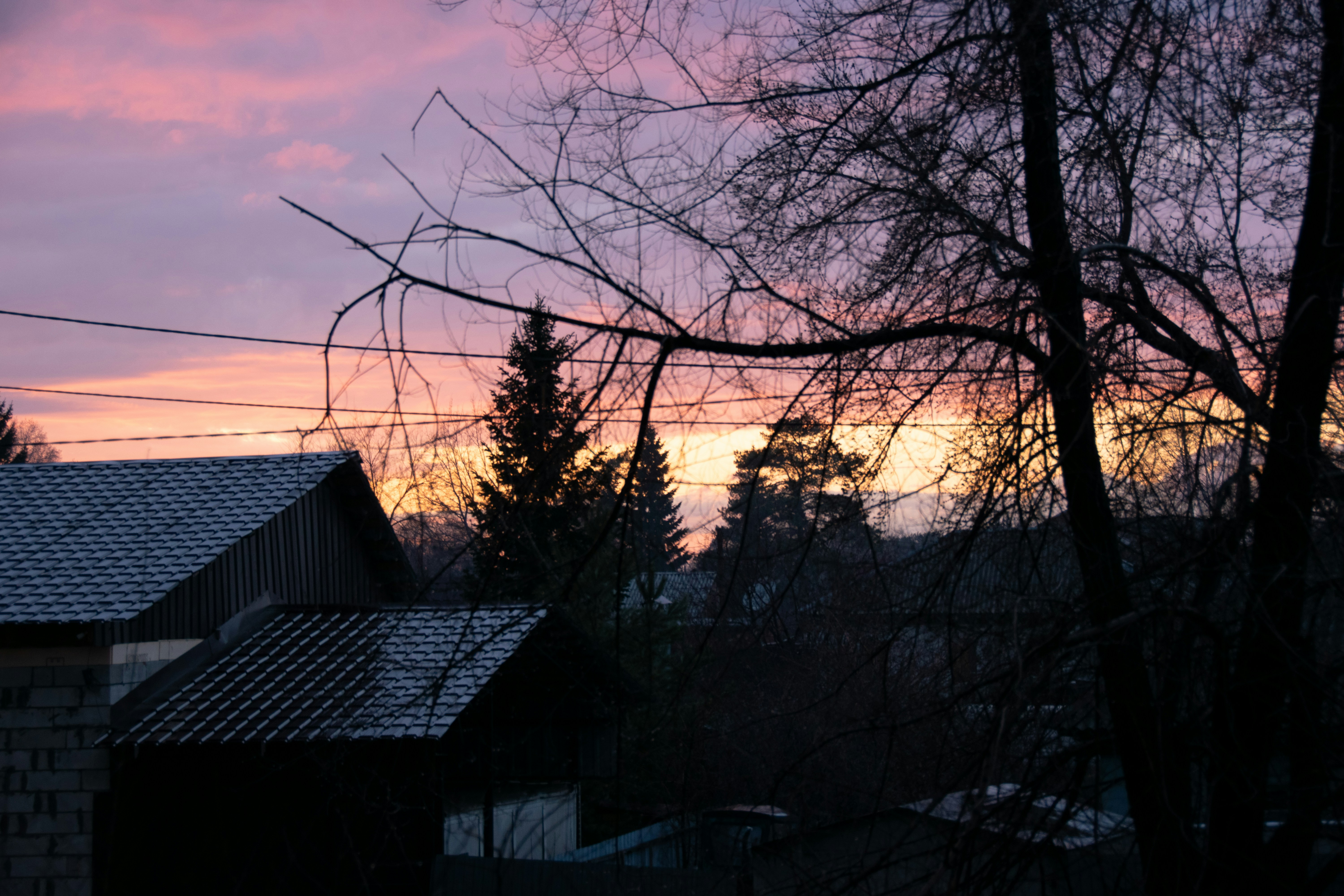 Photo by almala