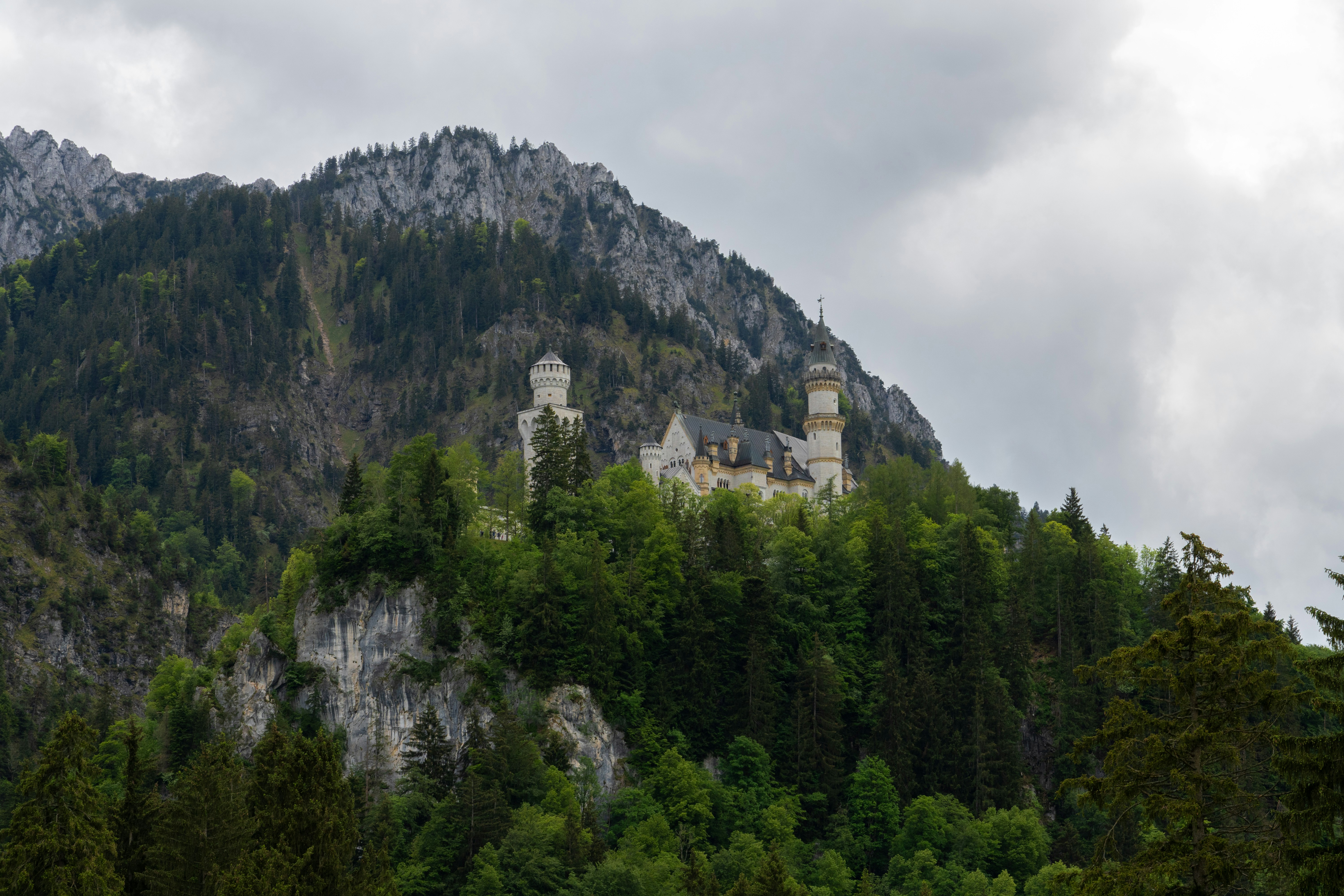a castle on top of a mountain surrounded by trees