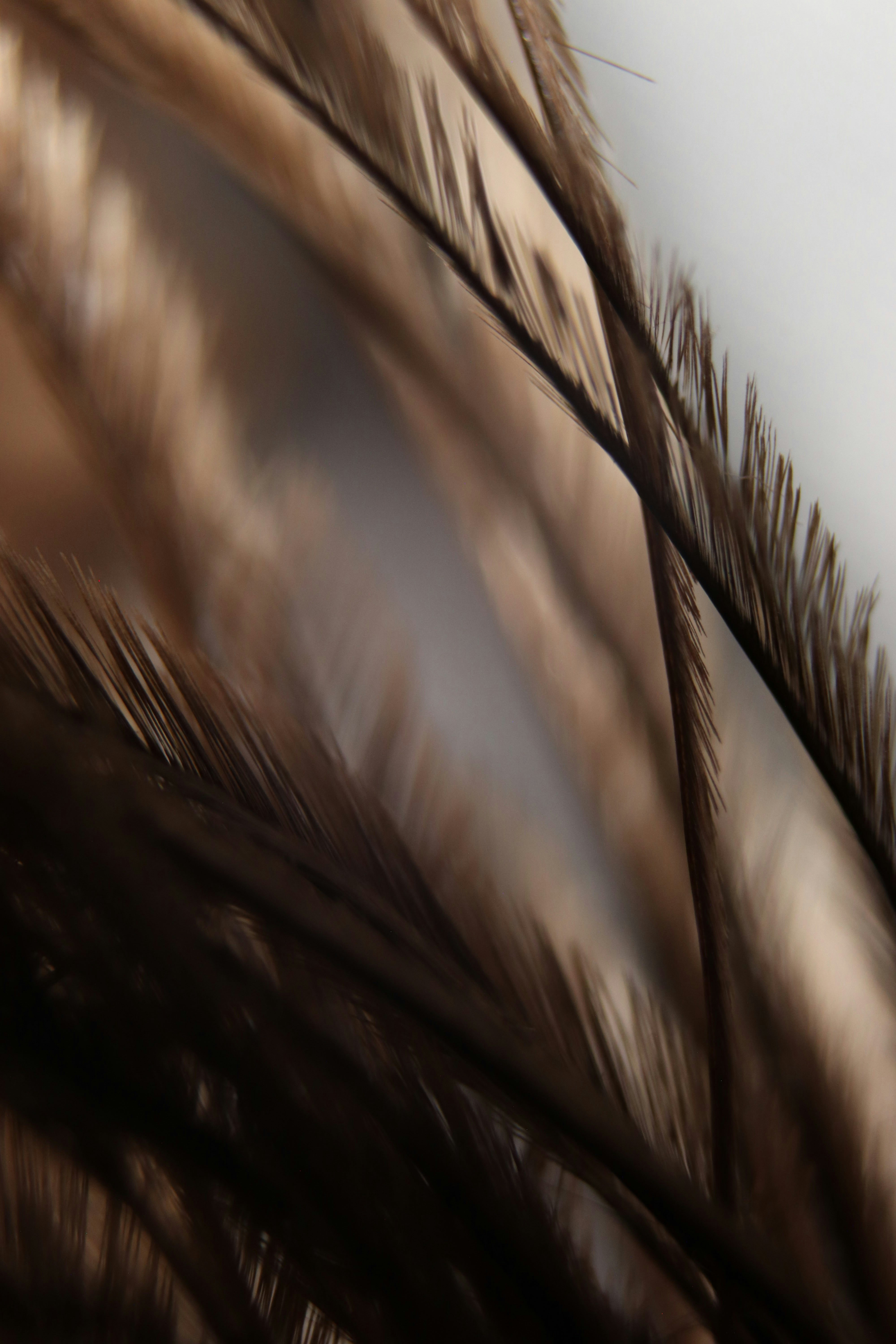 Photo by shawny_yana