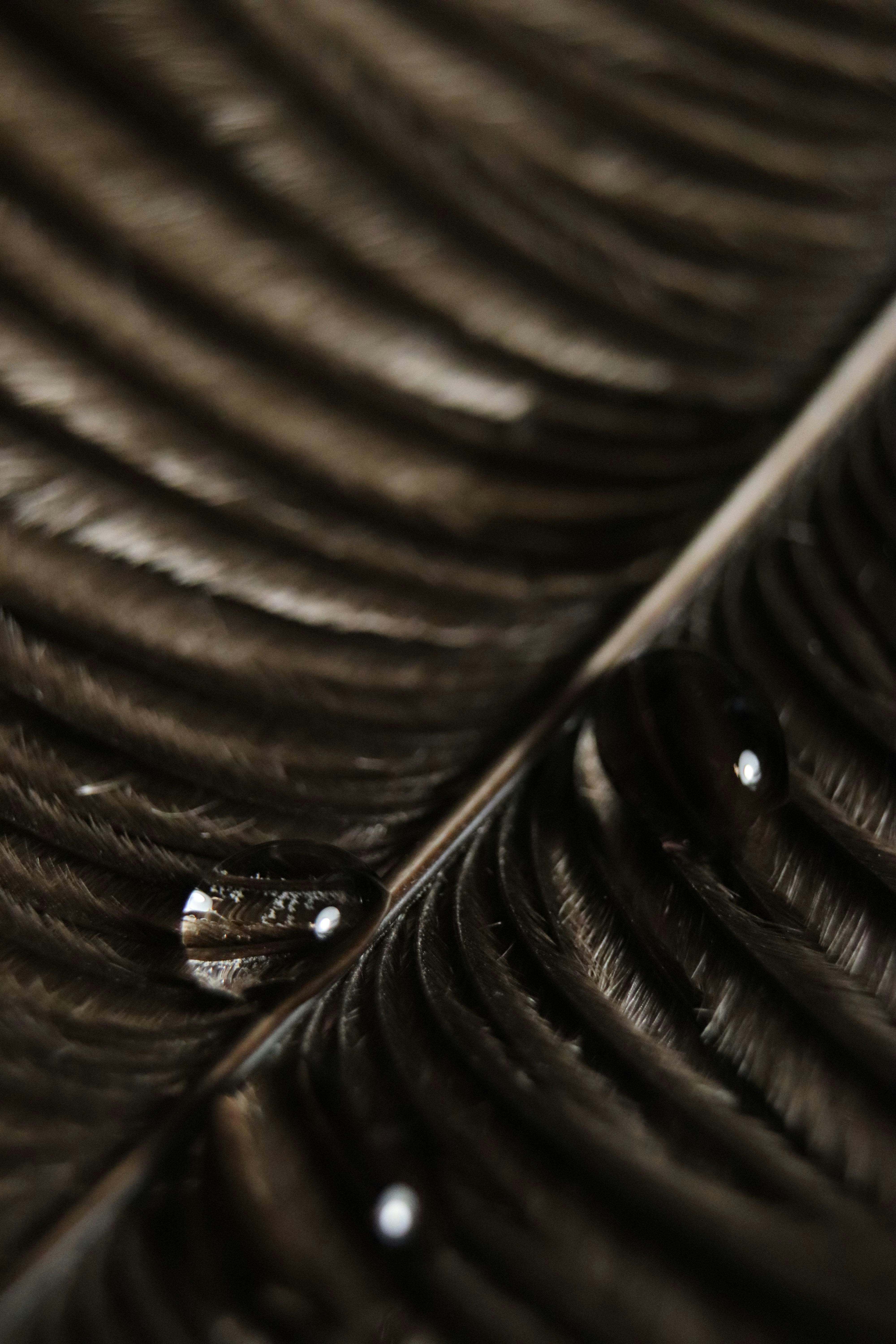 Photo by shawny_yana