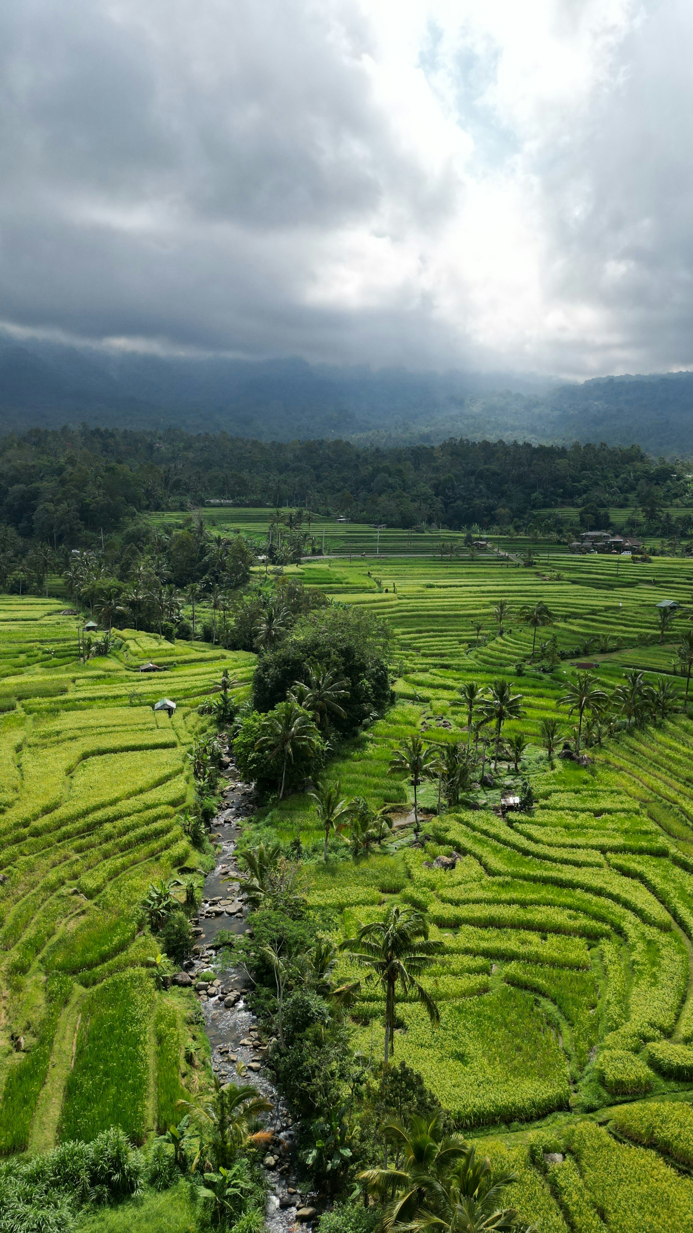 Photo by jpanchmatia