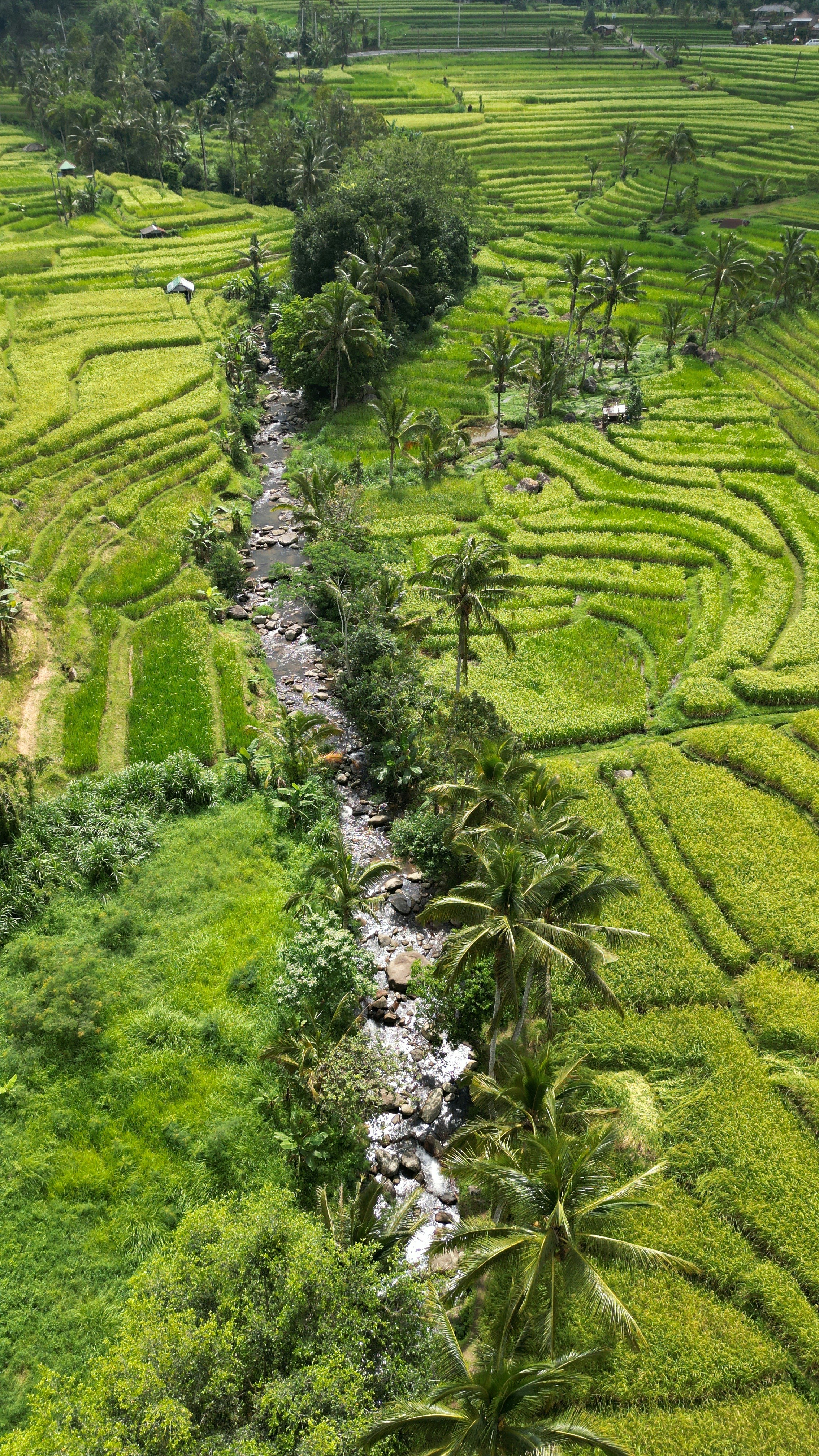 Photo by jpanchmatia