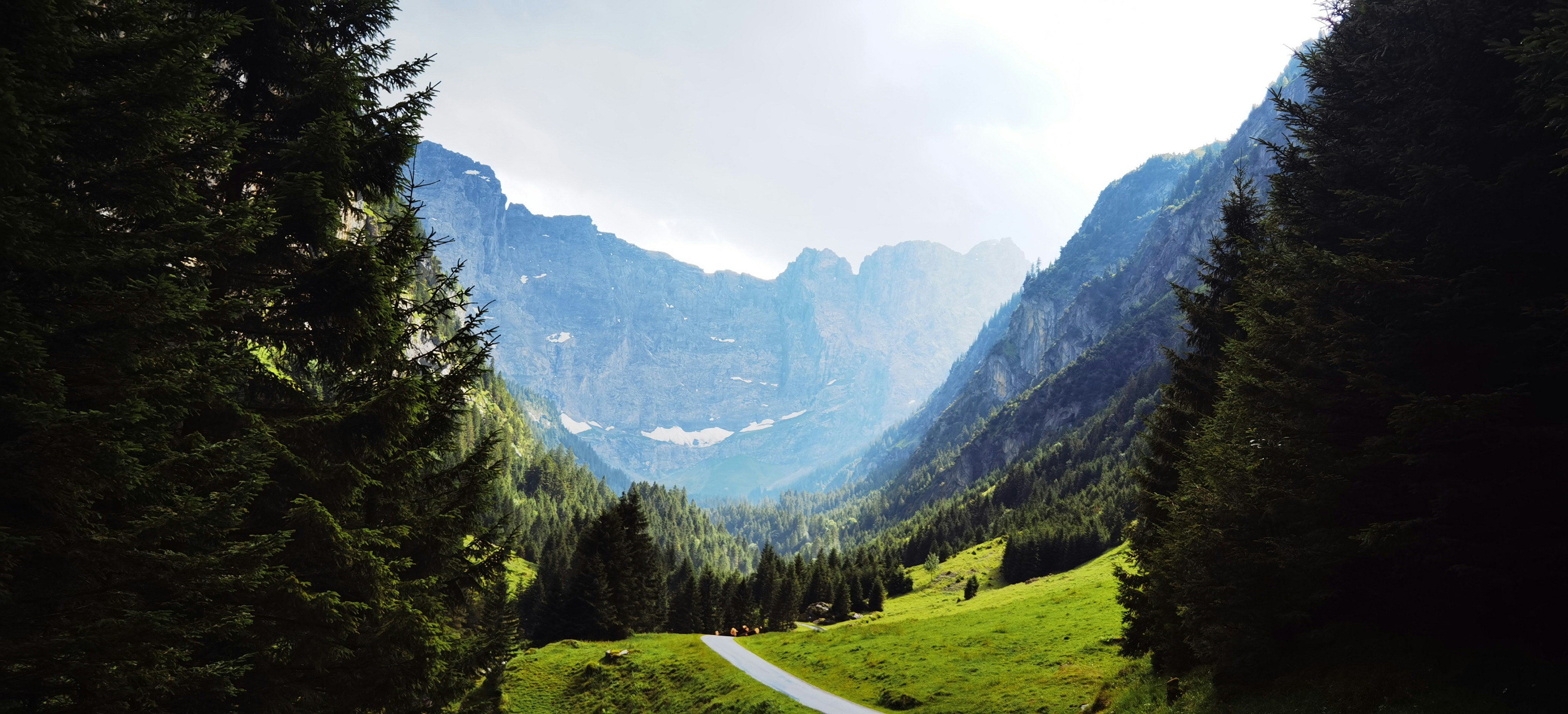 Photo by naturalmystic