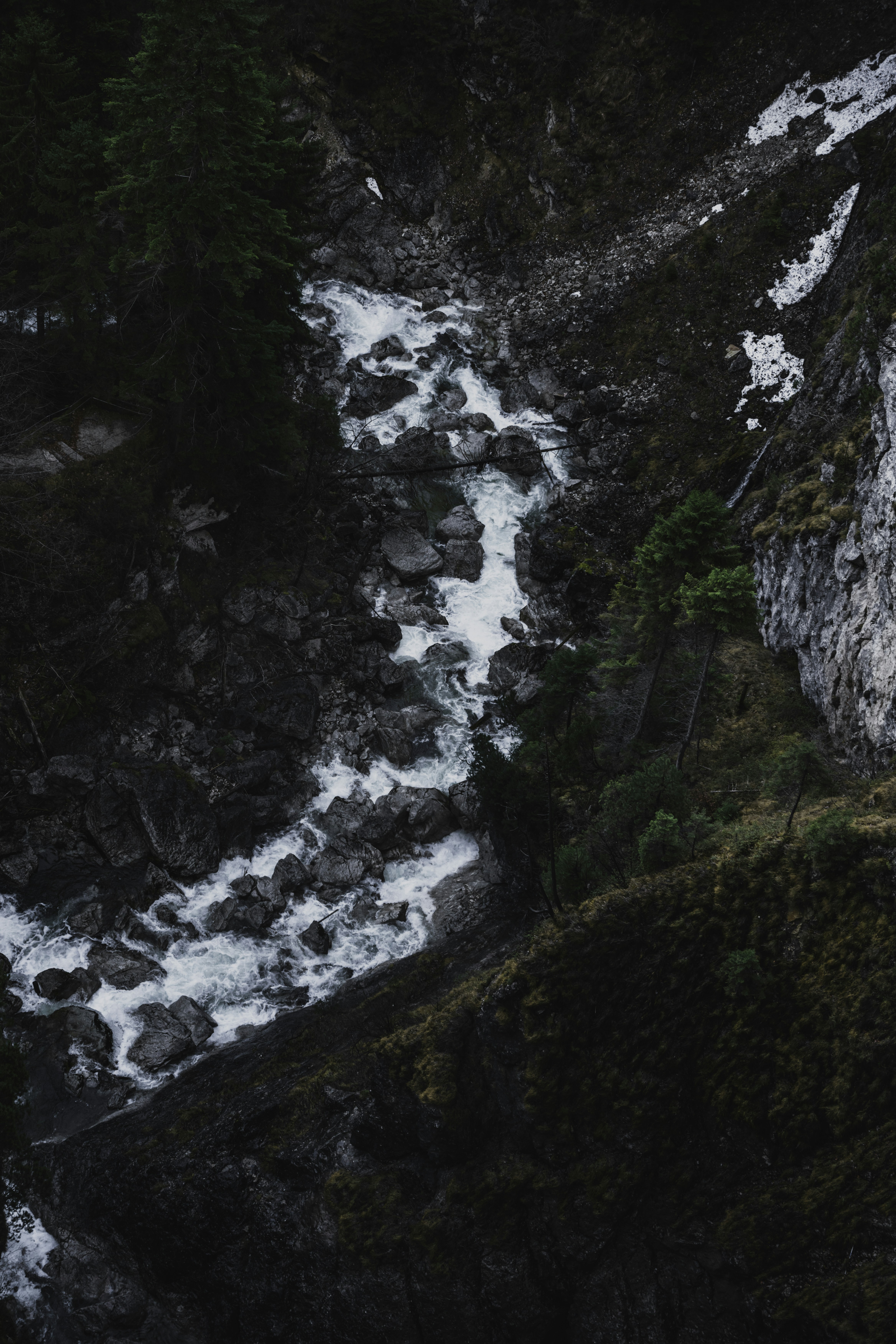 Photo by winstontjia