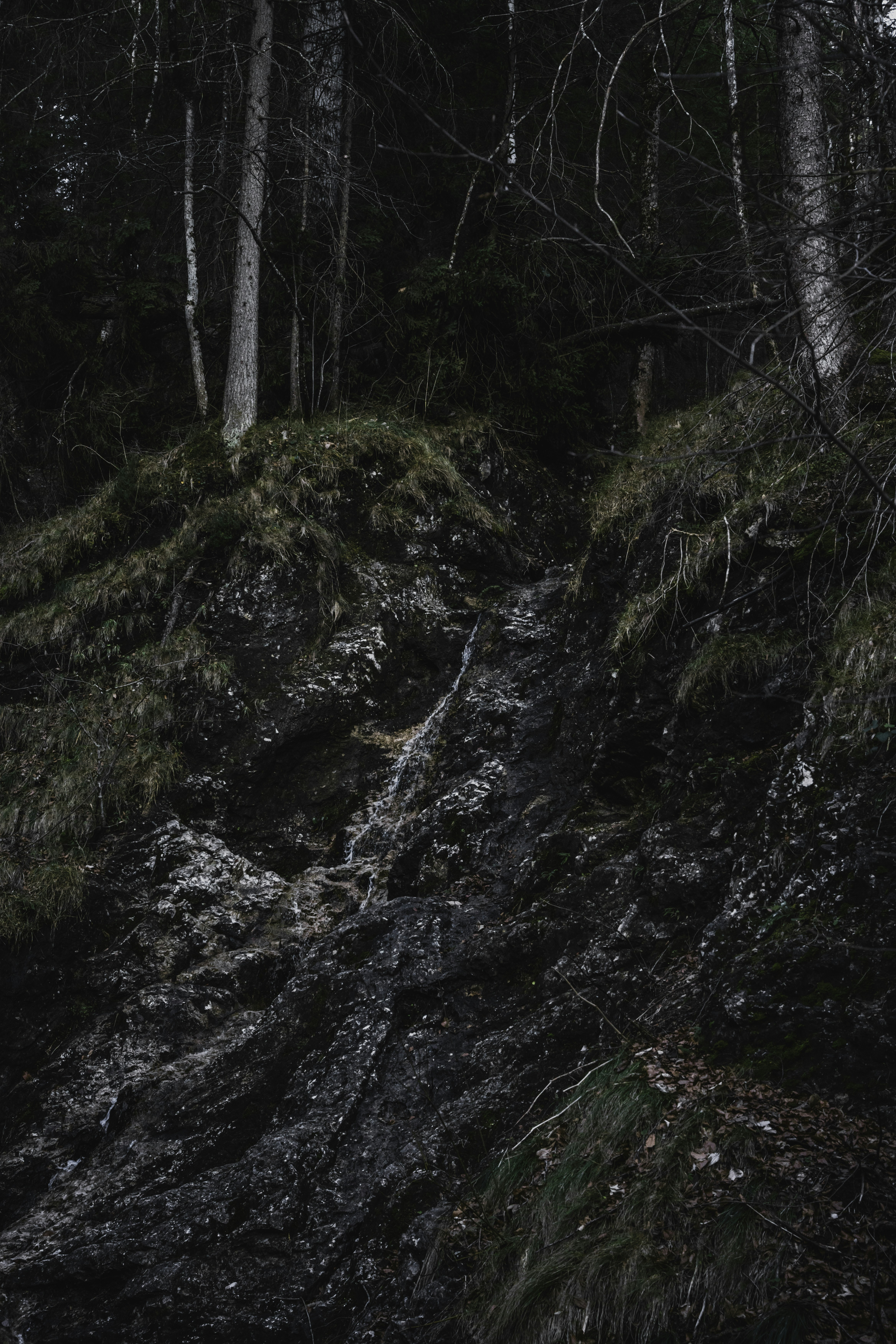 Photo by winstontjia