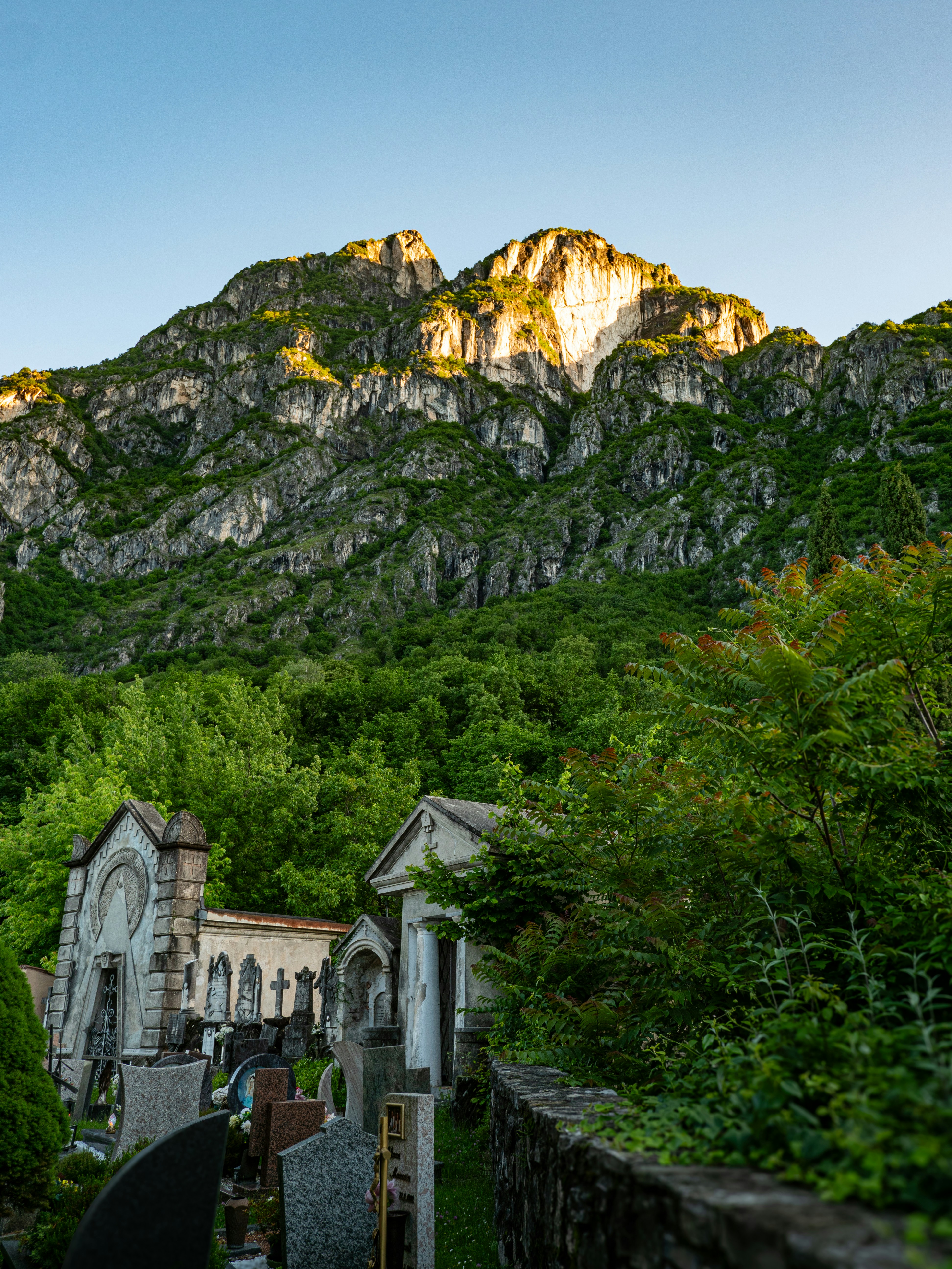 photo-1717187505247-c1d29251ec17?ixid=M3wxMjA3fDB8MXxzZWFyY2h8MTc0fHxjb21vJTIwYnVzY2FyJTIwdHJ1ZmElMjBuZWdyYSUyMHNpbiUyMHBlcnJvfGVufDB8fHx8MTcyNzk0OTc4OXww%5Cu0026ixlib=rb-4.0.3