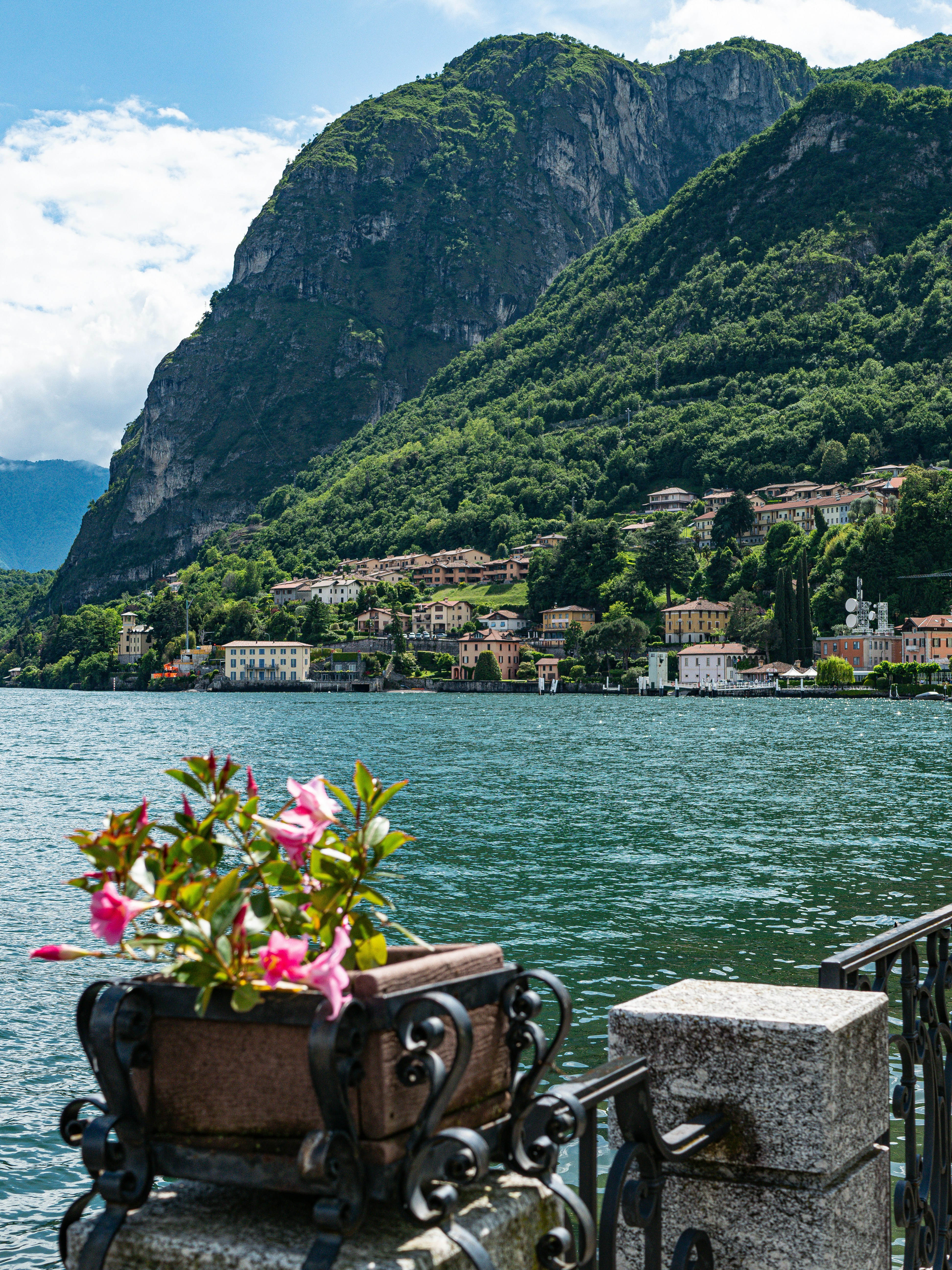 Photo by poli_graphy