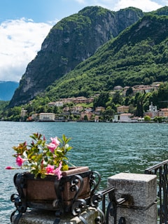 a view of a lake with a mountain in the background