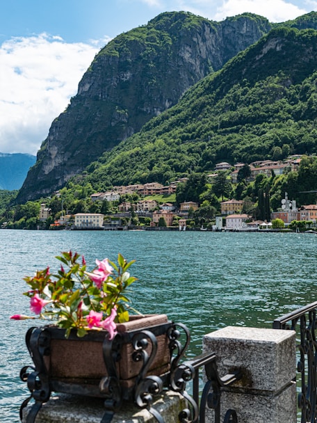 a view of a lake with a mountain in the background