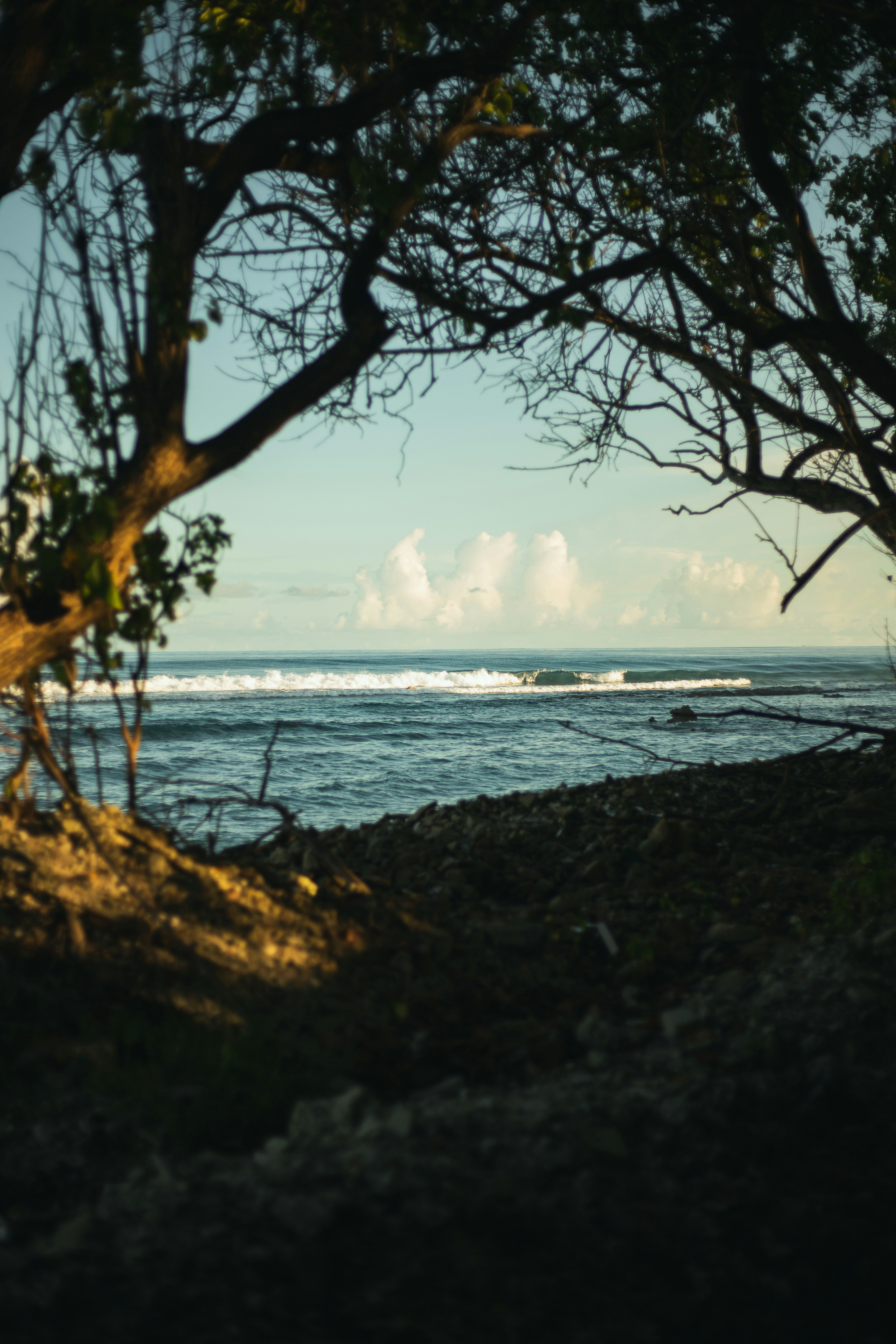 Photo by mohamed_lammah