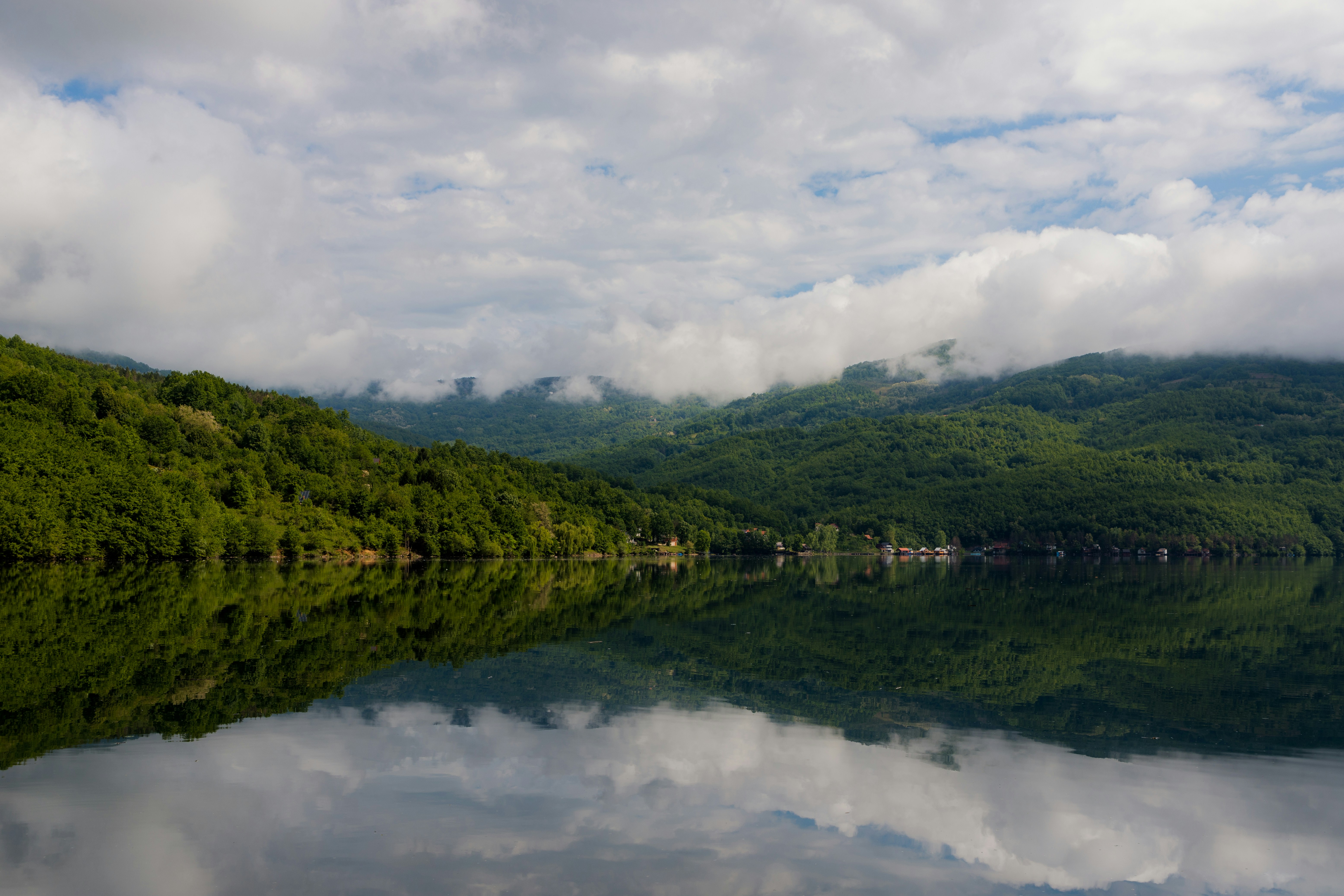 Photo by jovanvasiljevic