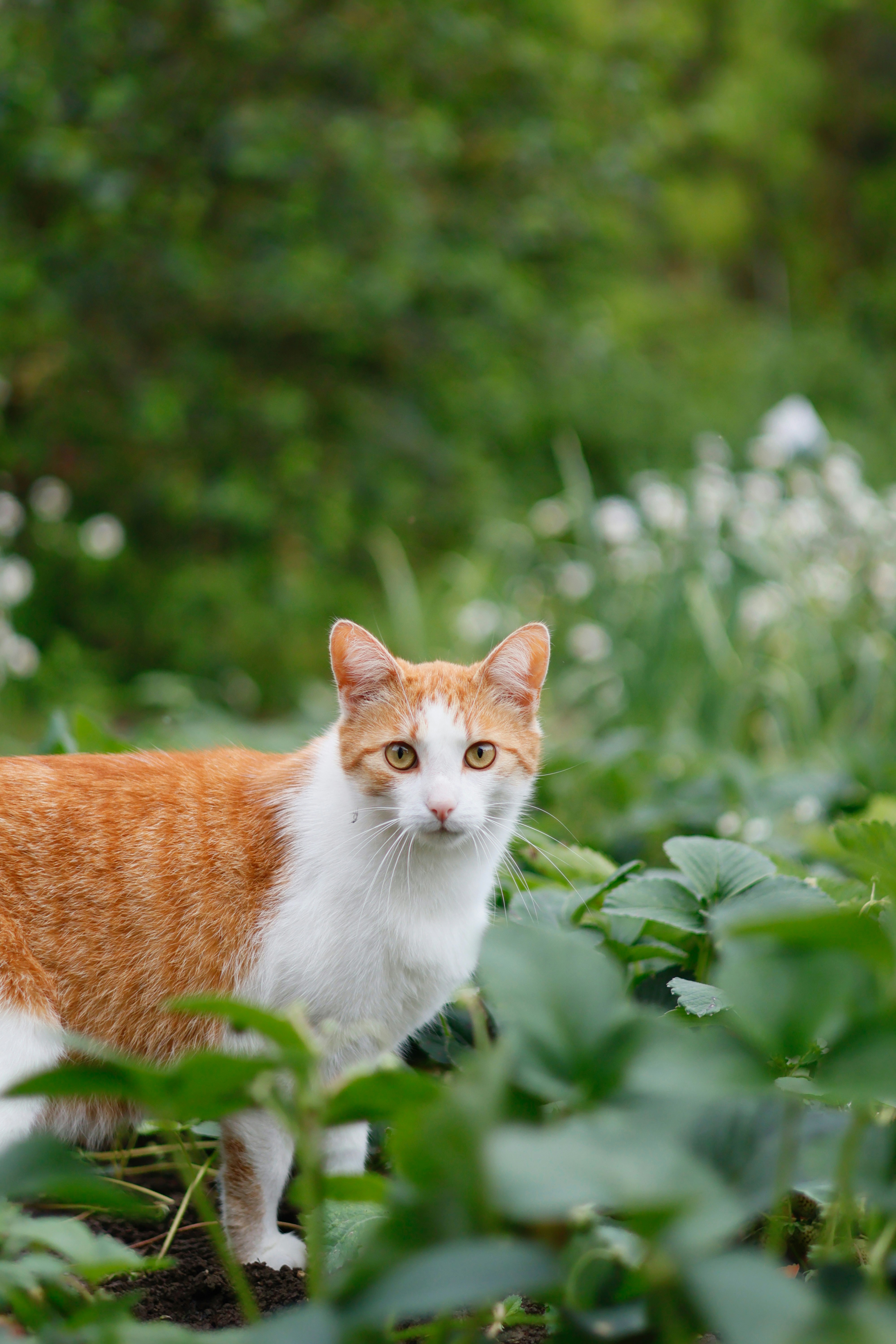 Photo by nottwentyseven