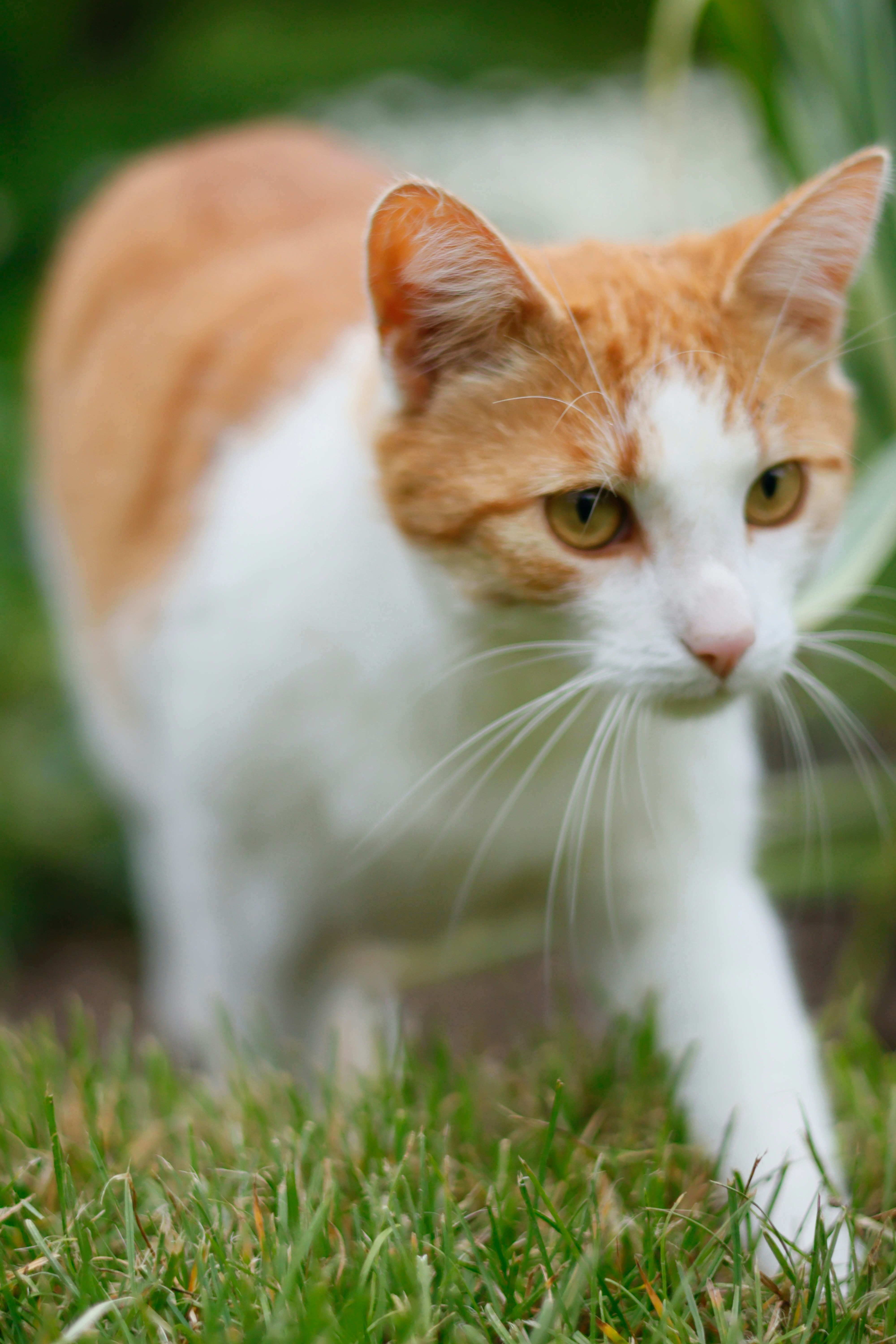 Photo by nottwentyseven