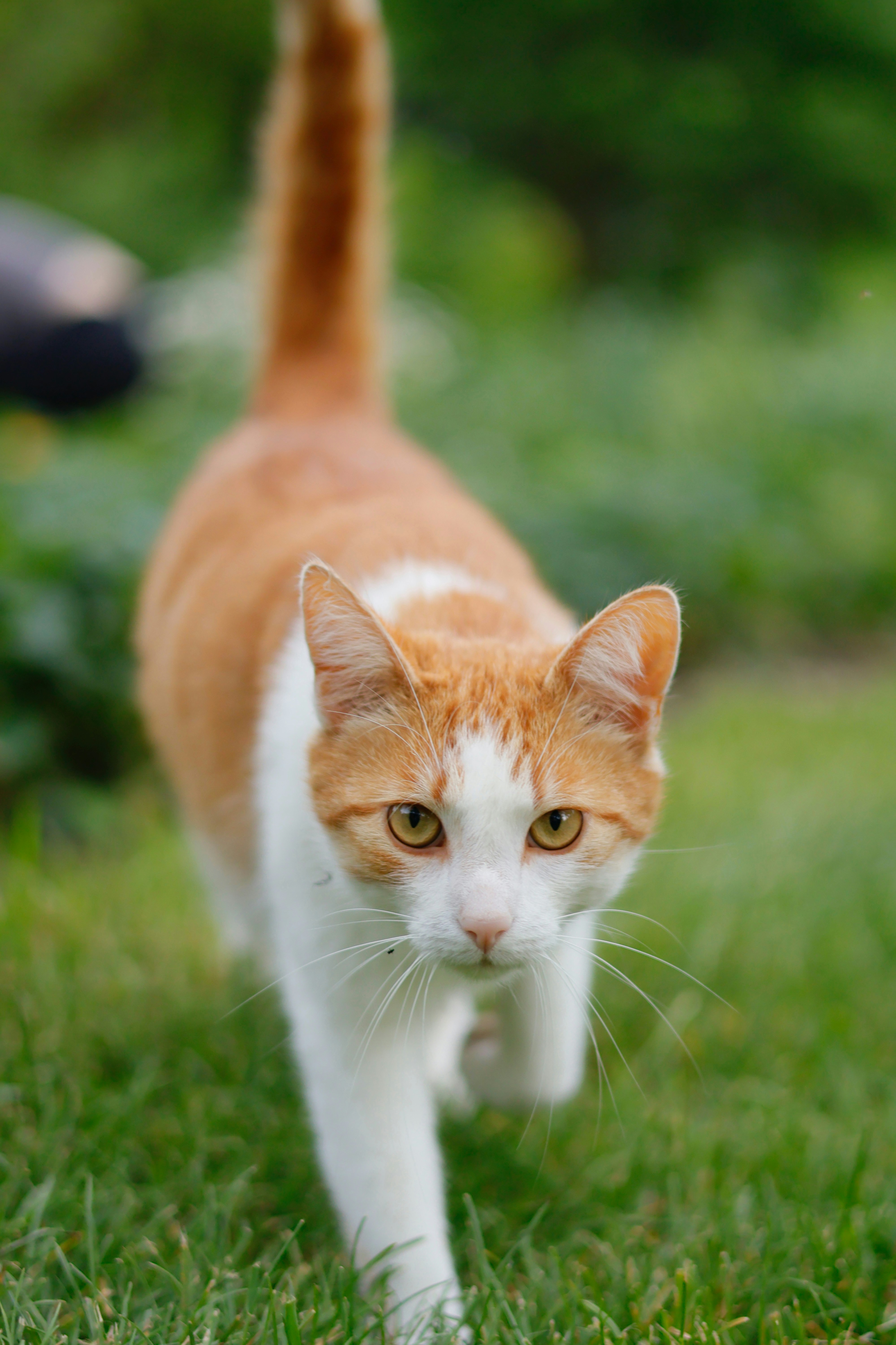 Photo by nottwentyseven