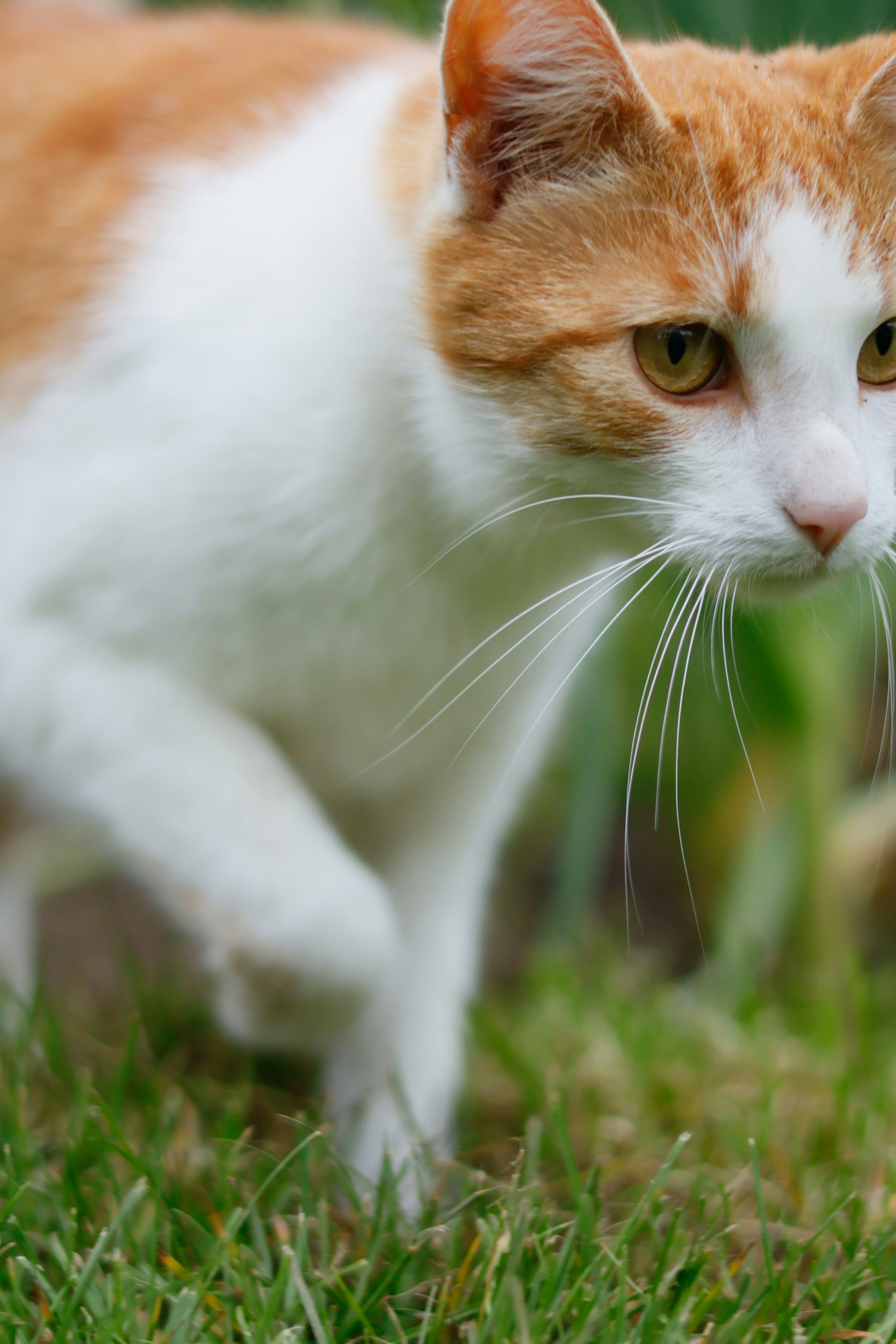 Photo by nottwentyseven