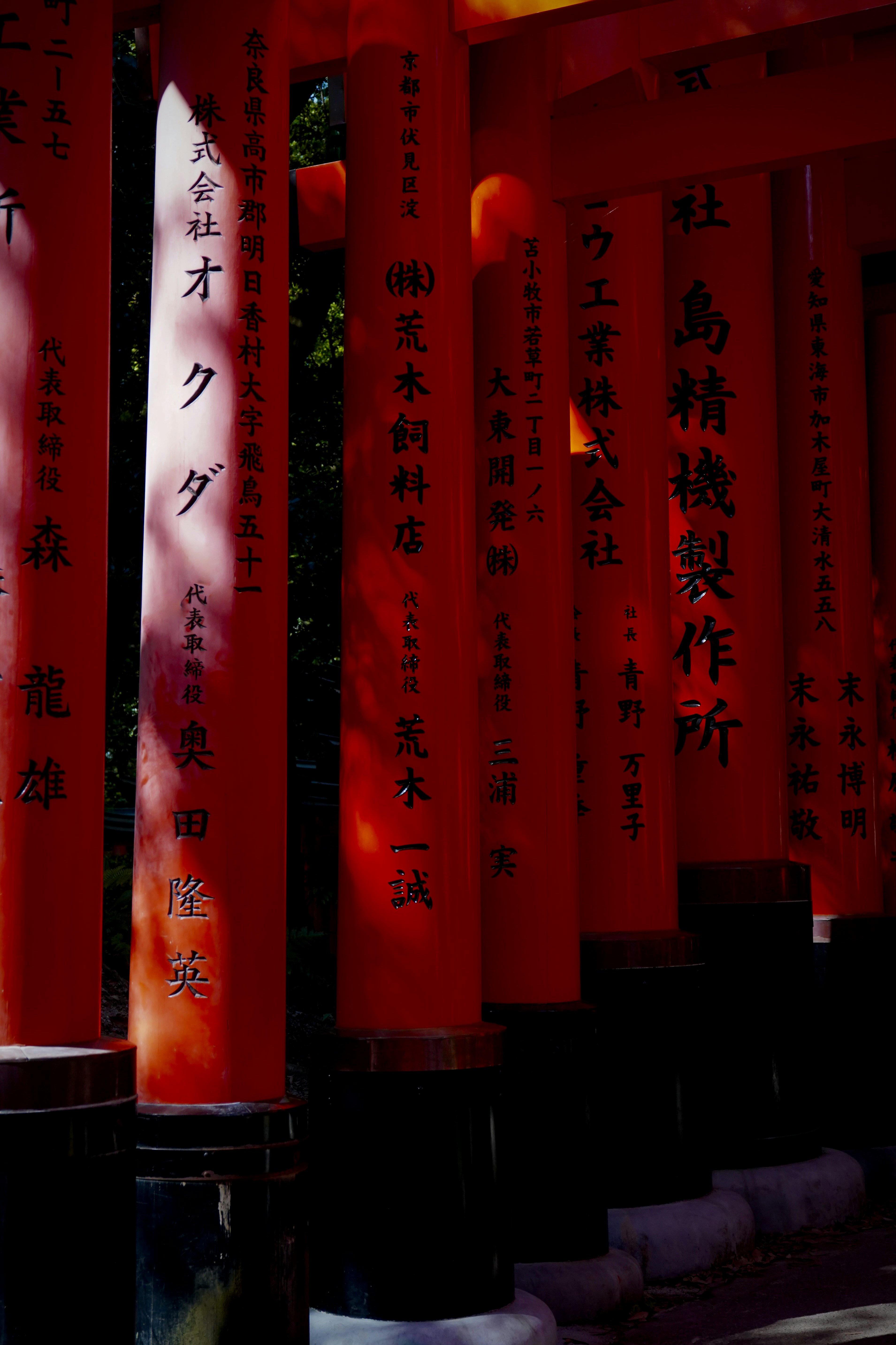 Photo by jivangarcha