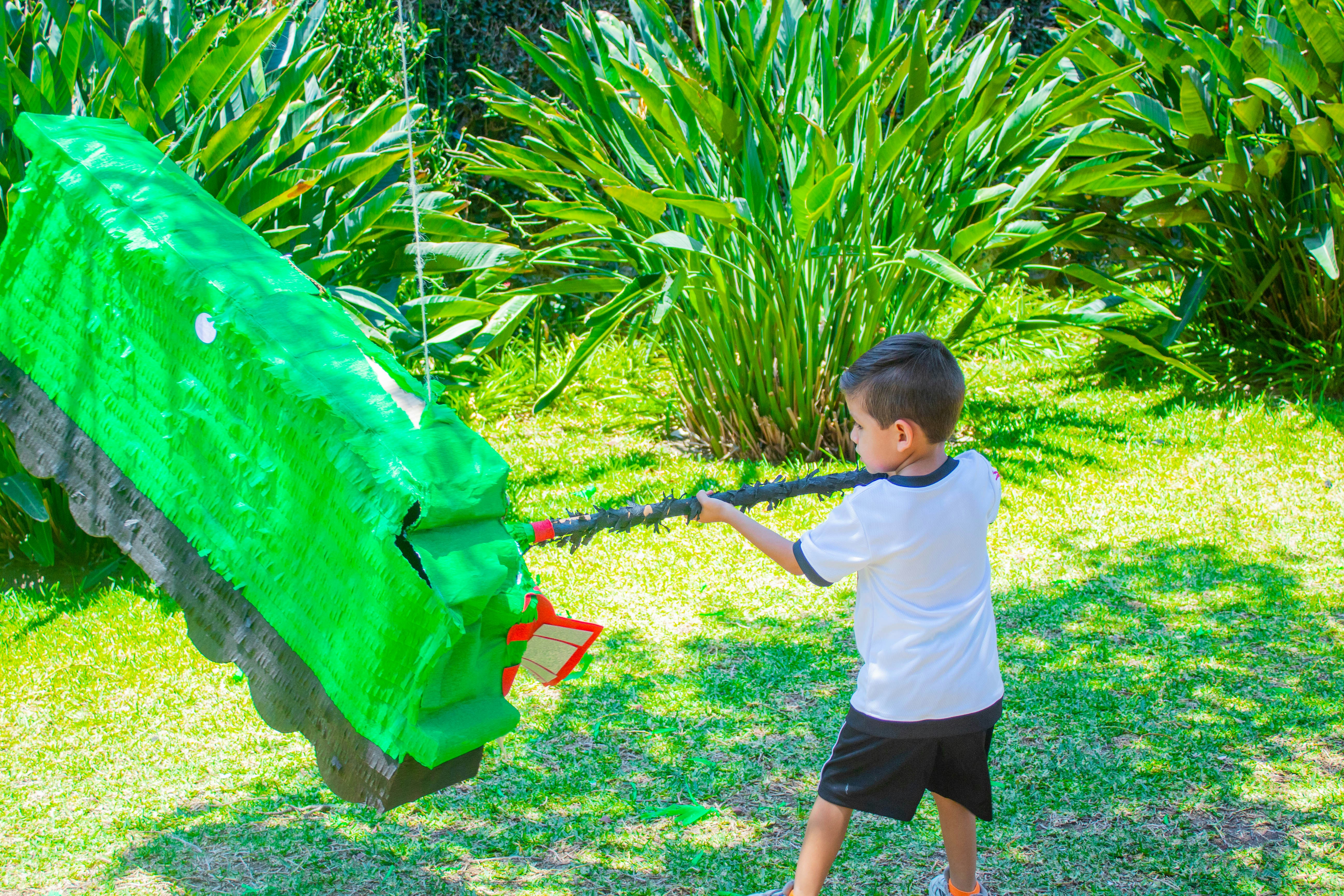 Photo by alexgallegos