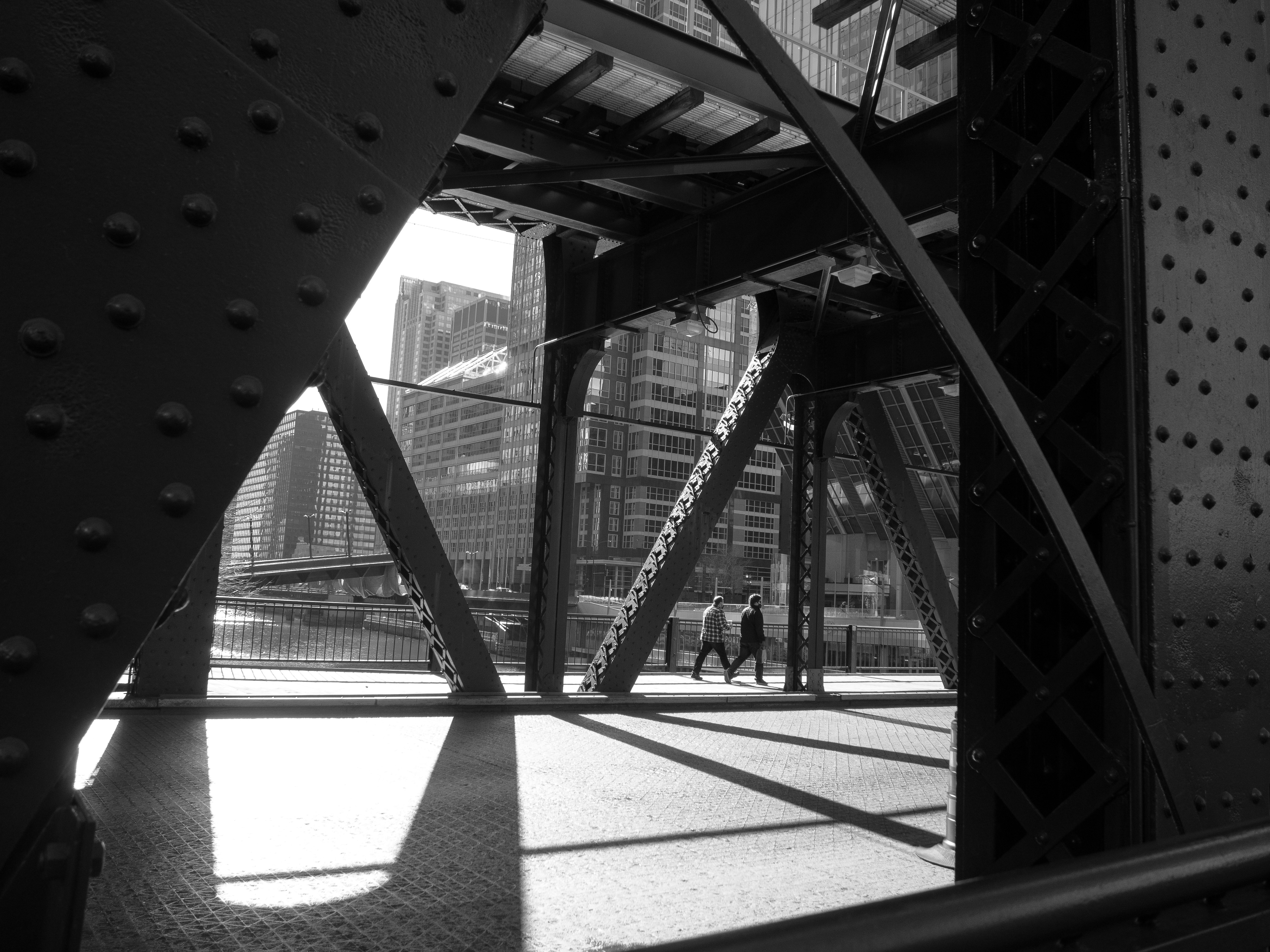 Photo by muscateer777