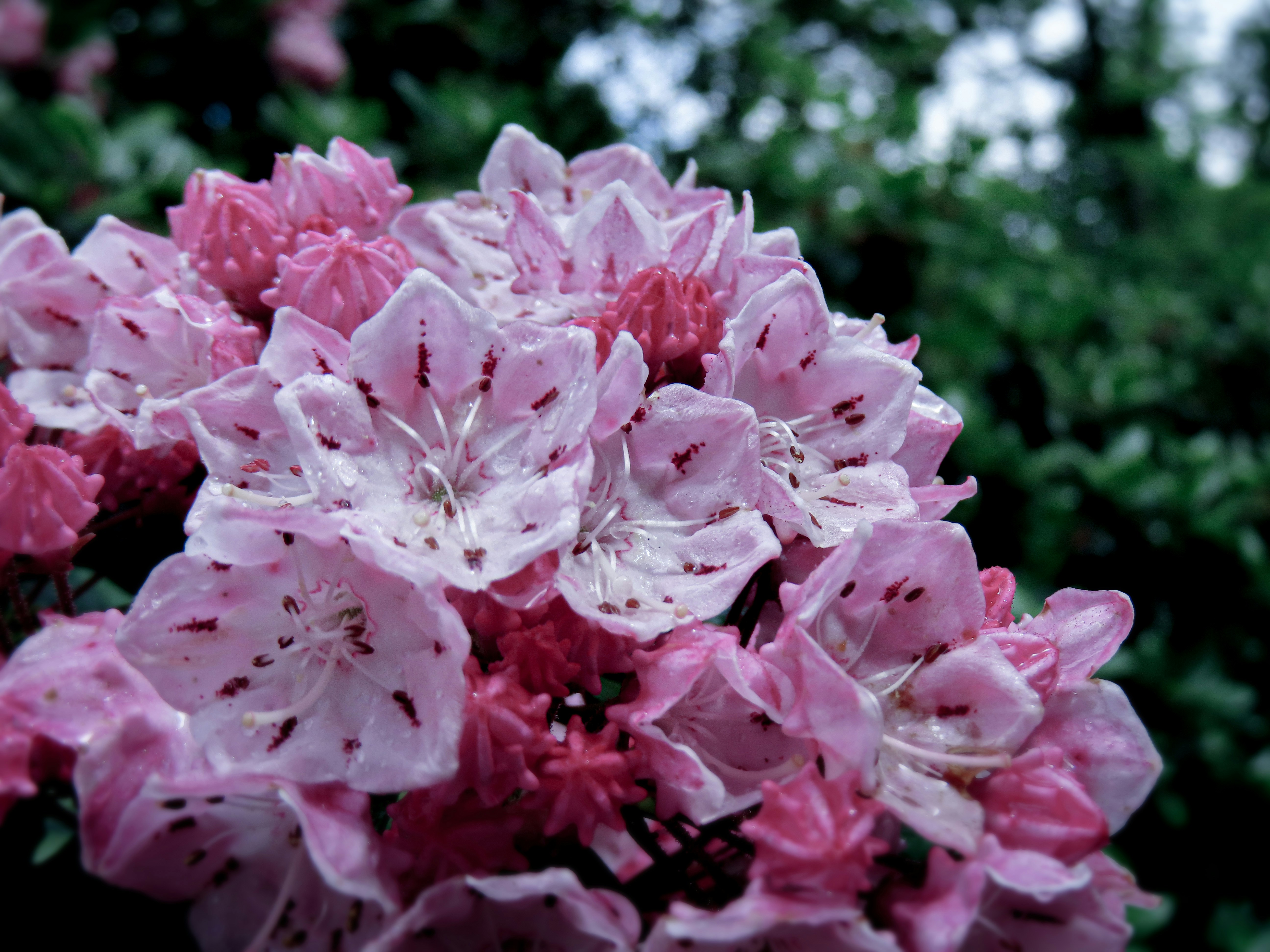 Photo by todayzcapture