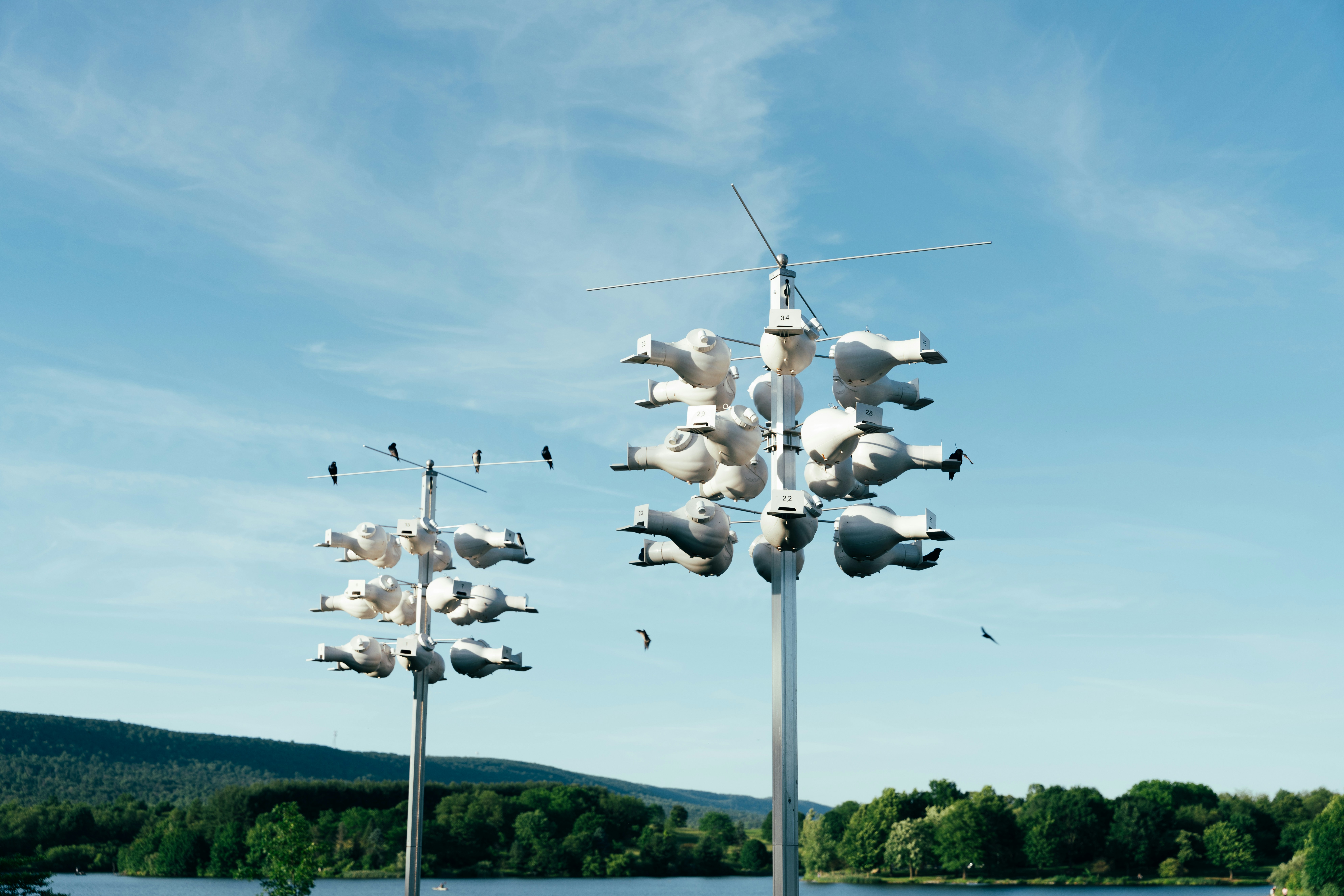 L’intelligence artificielle ne menace pas votre emploi selon le secrétaire au Travail de Trump mais elle s’impose durablement