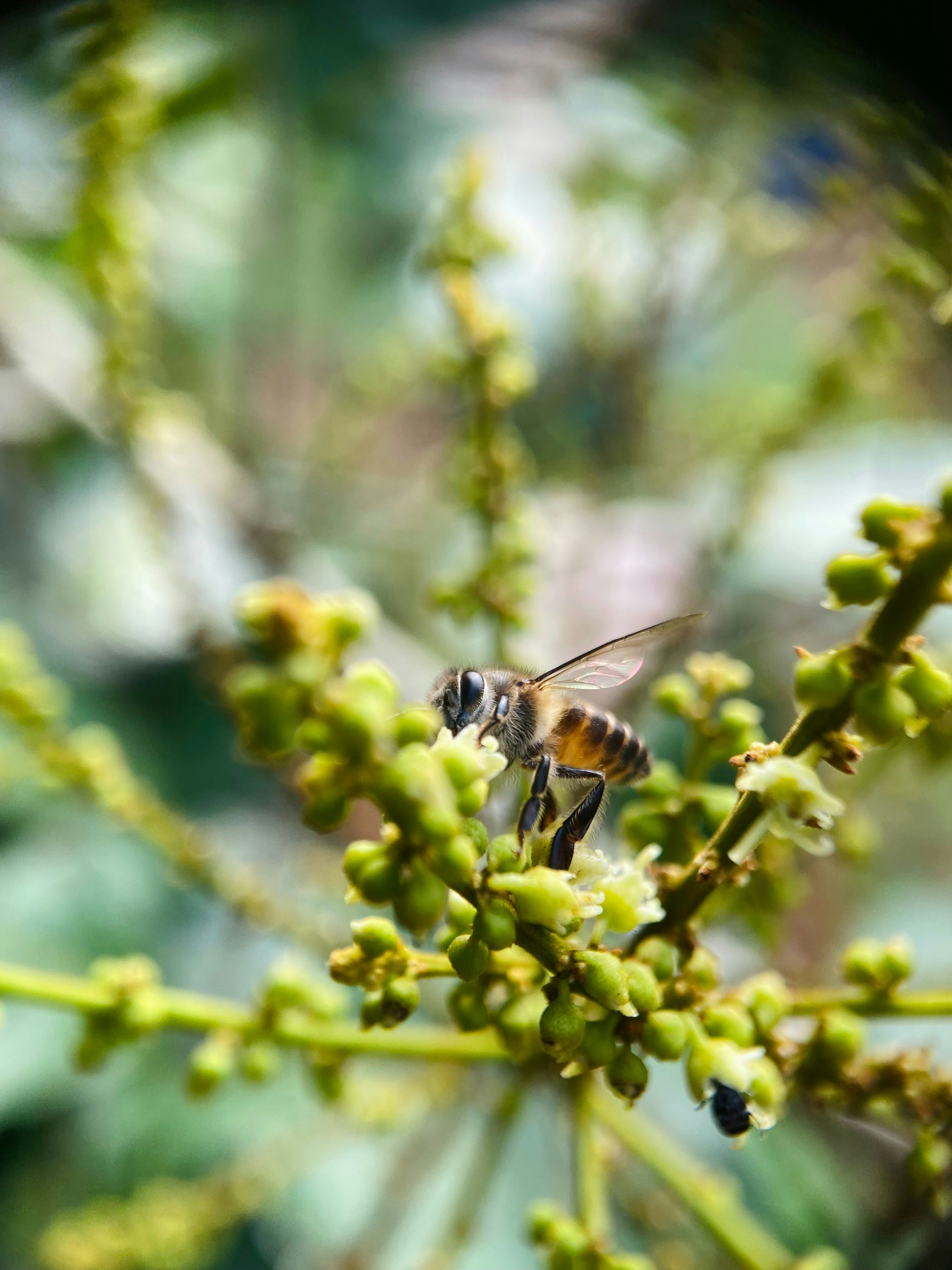 Photo by musing_photography