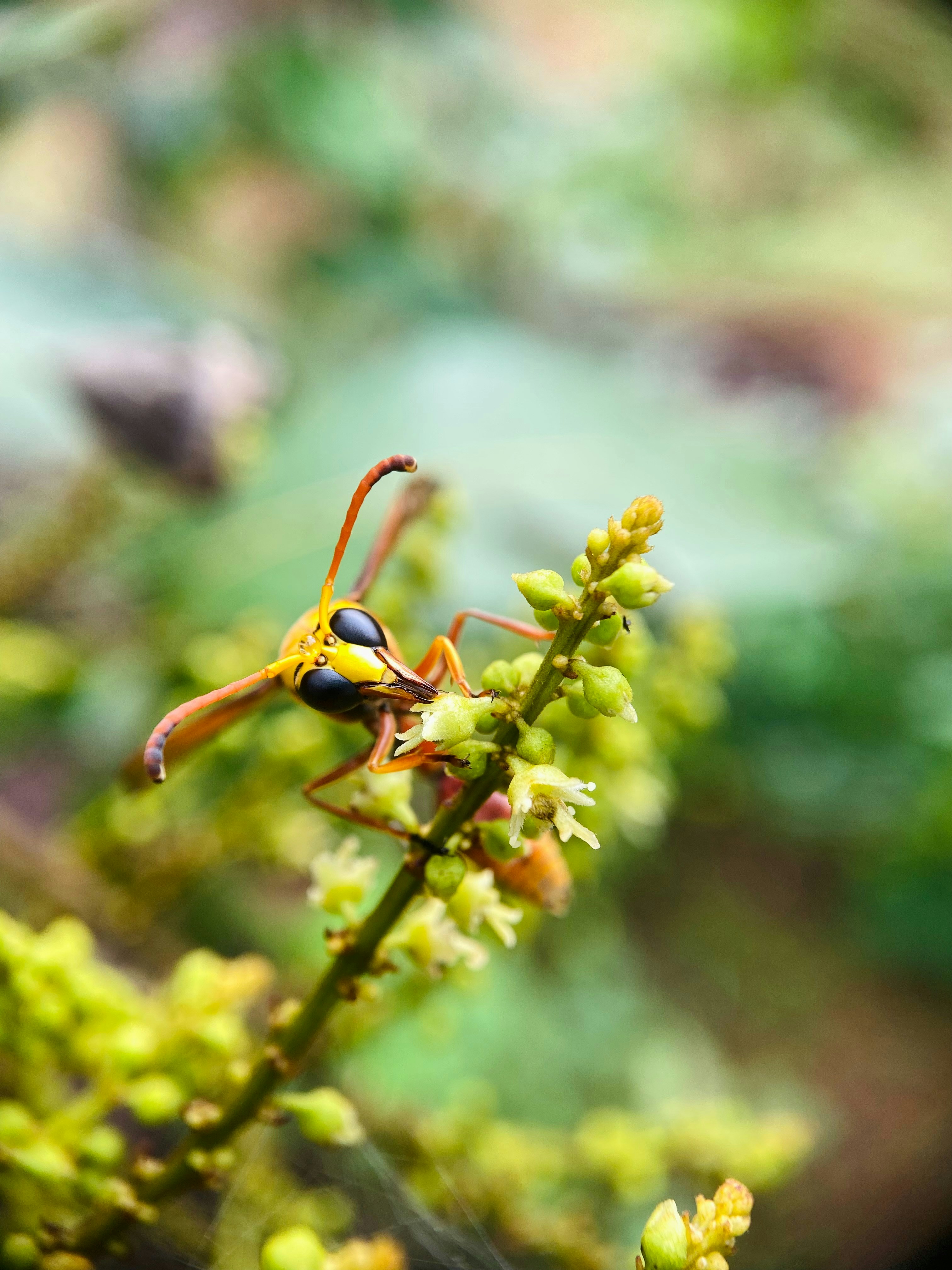 Photo by musing_photography