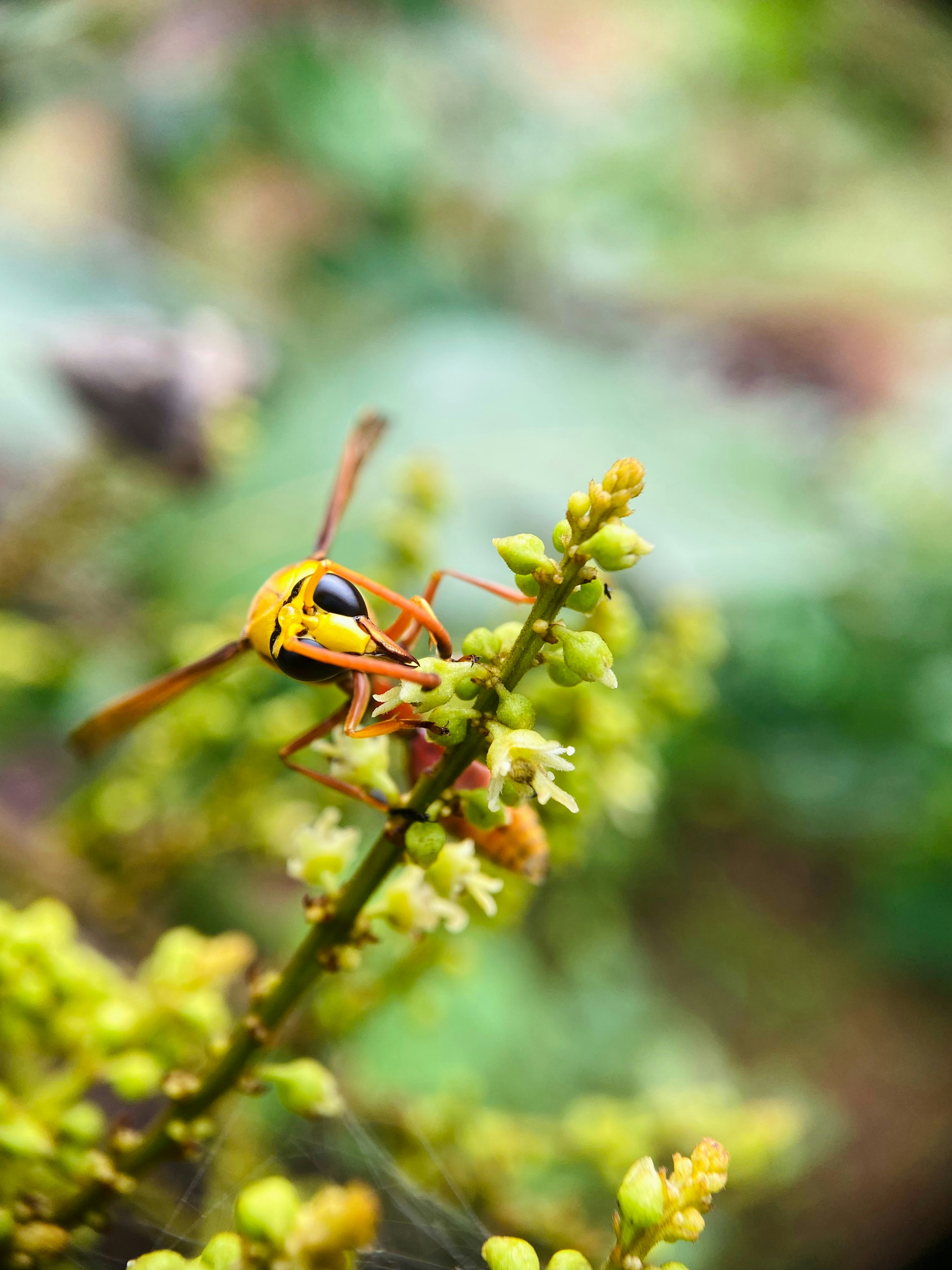 Photo by musing_photography