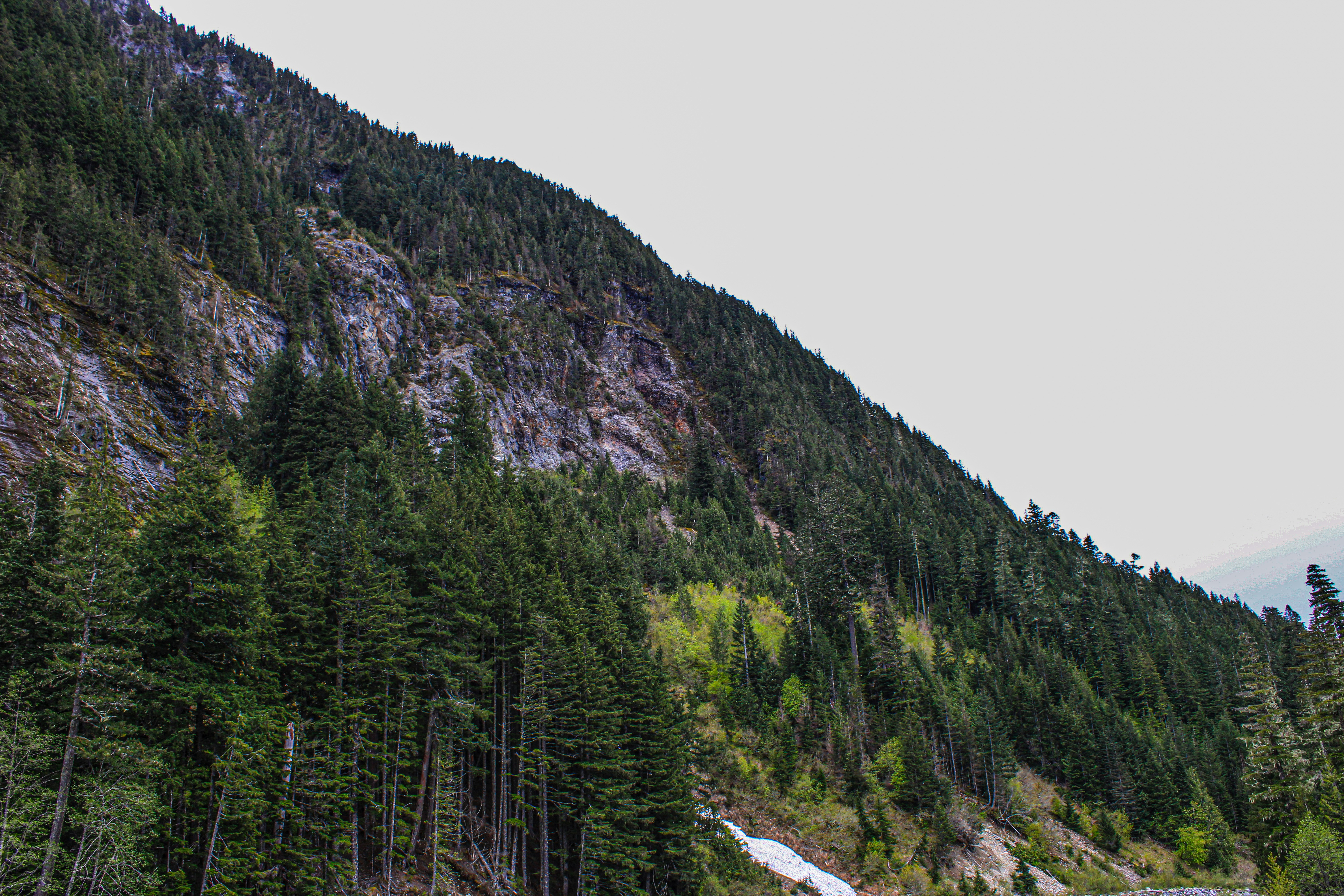 Photo by prphotography262