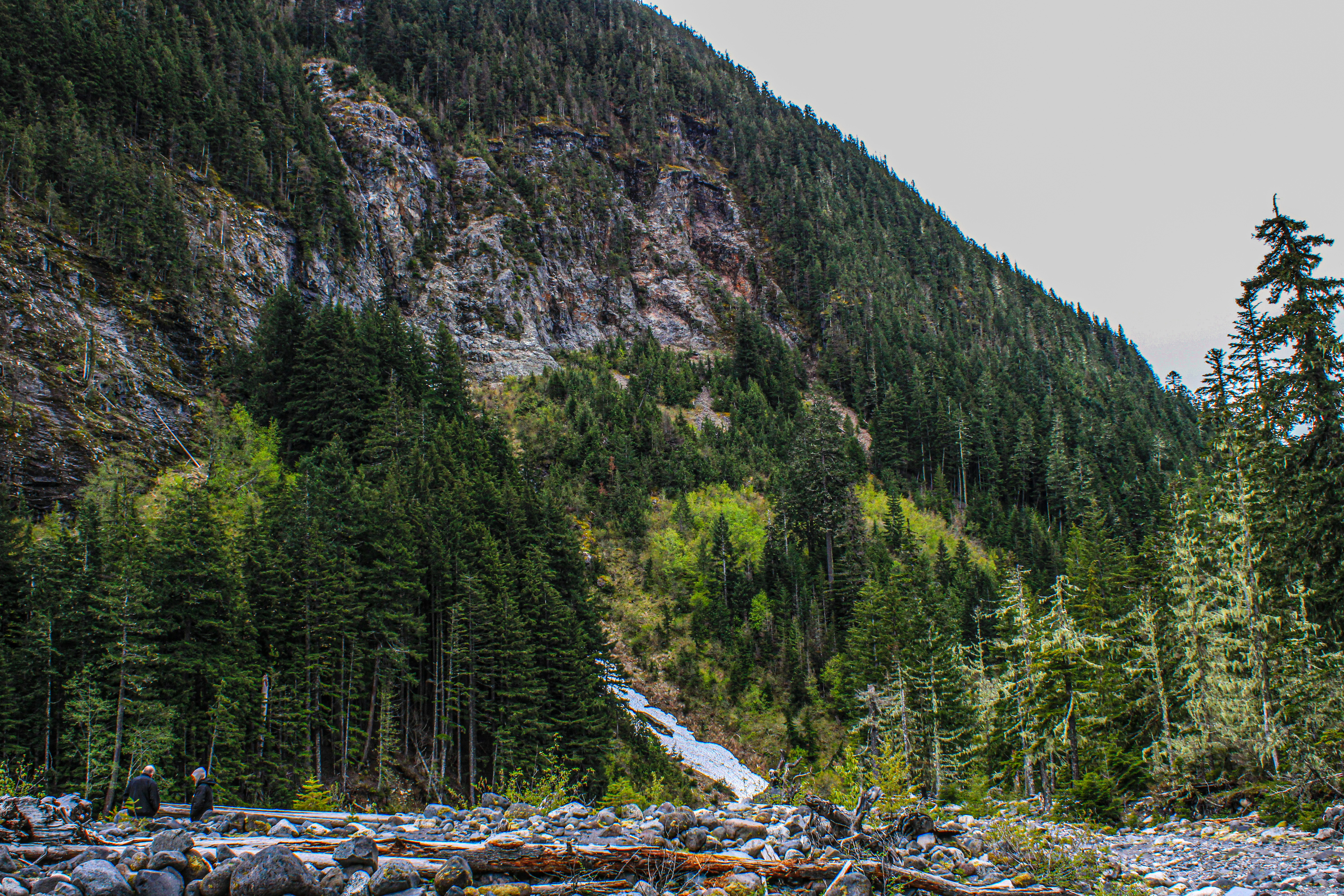 Photo by prphotography262