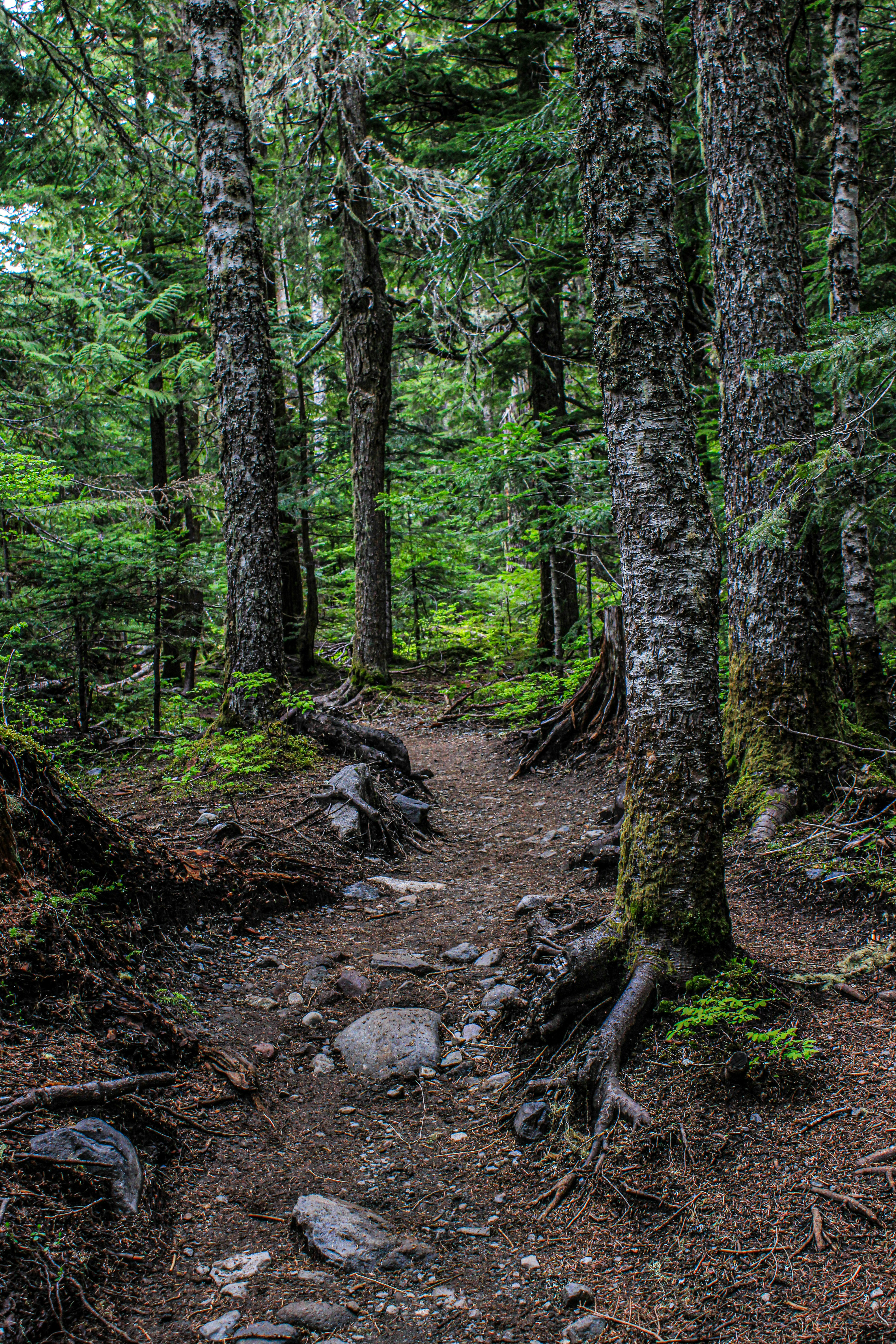 Photo by prphotography262