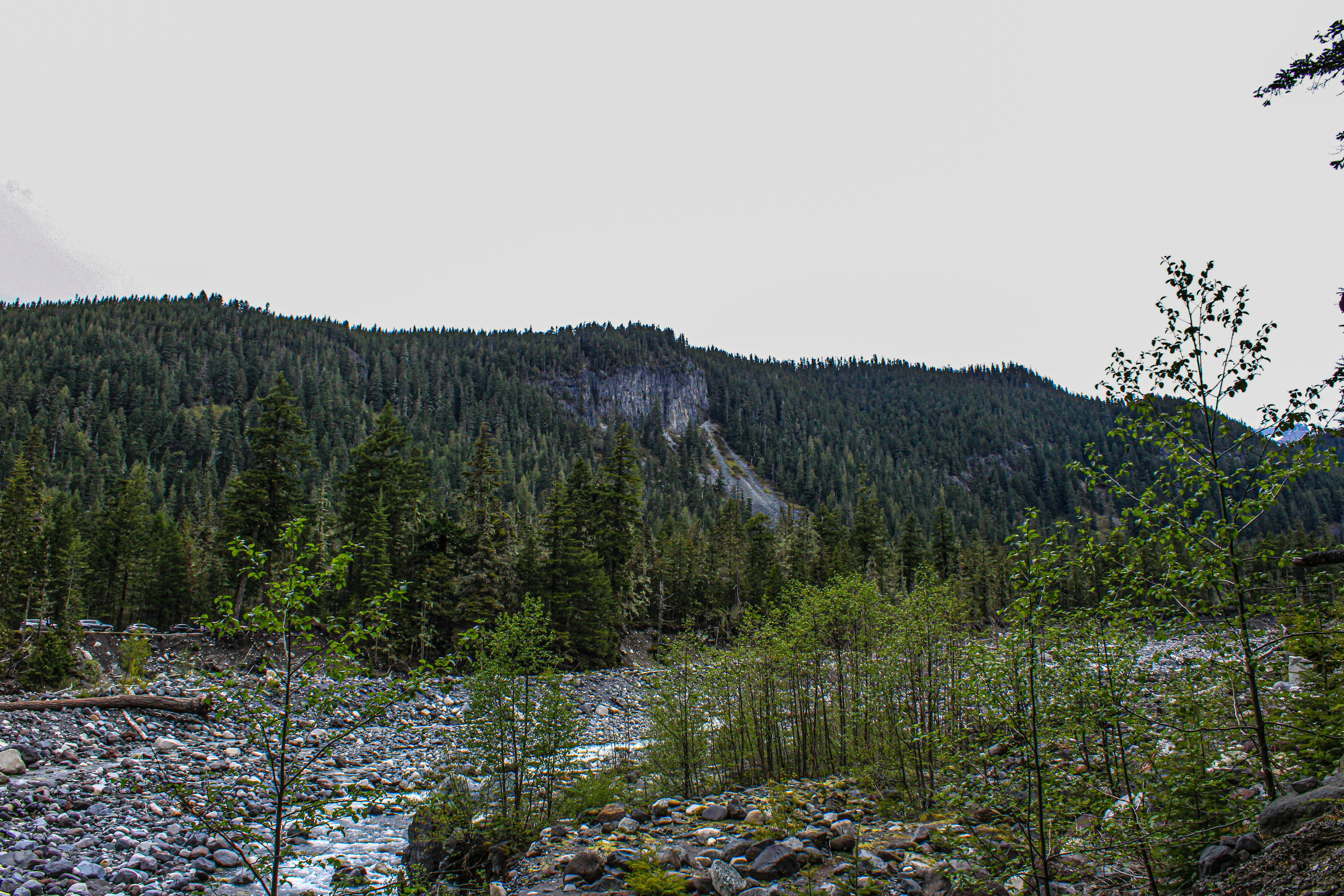 Photo by prphotography262