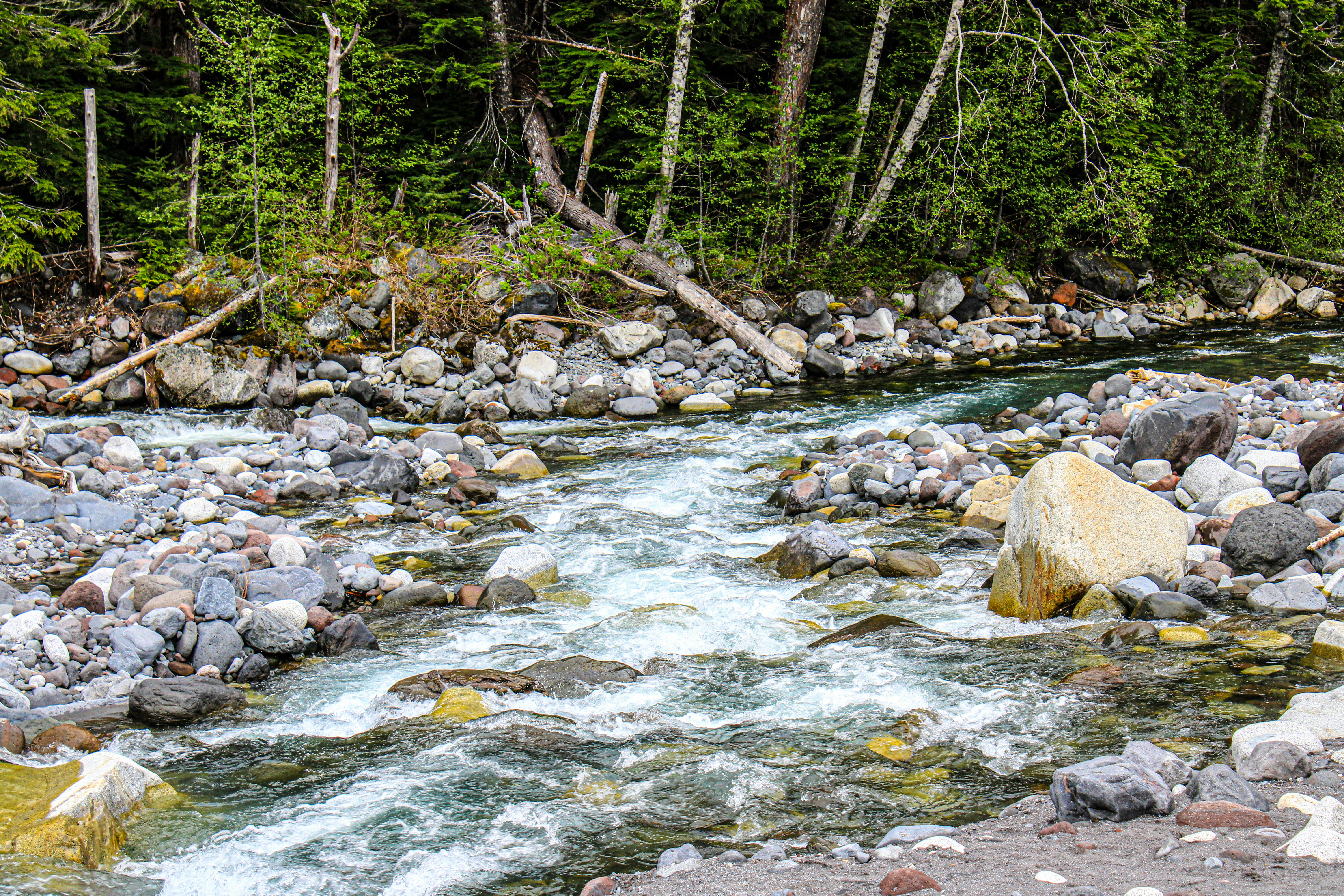 Photo by prphotography262