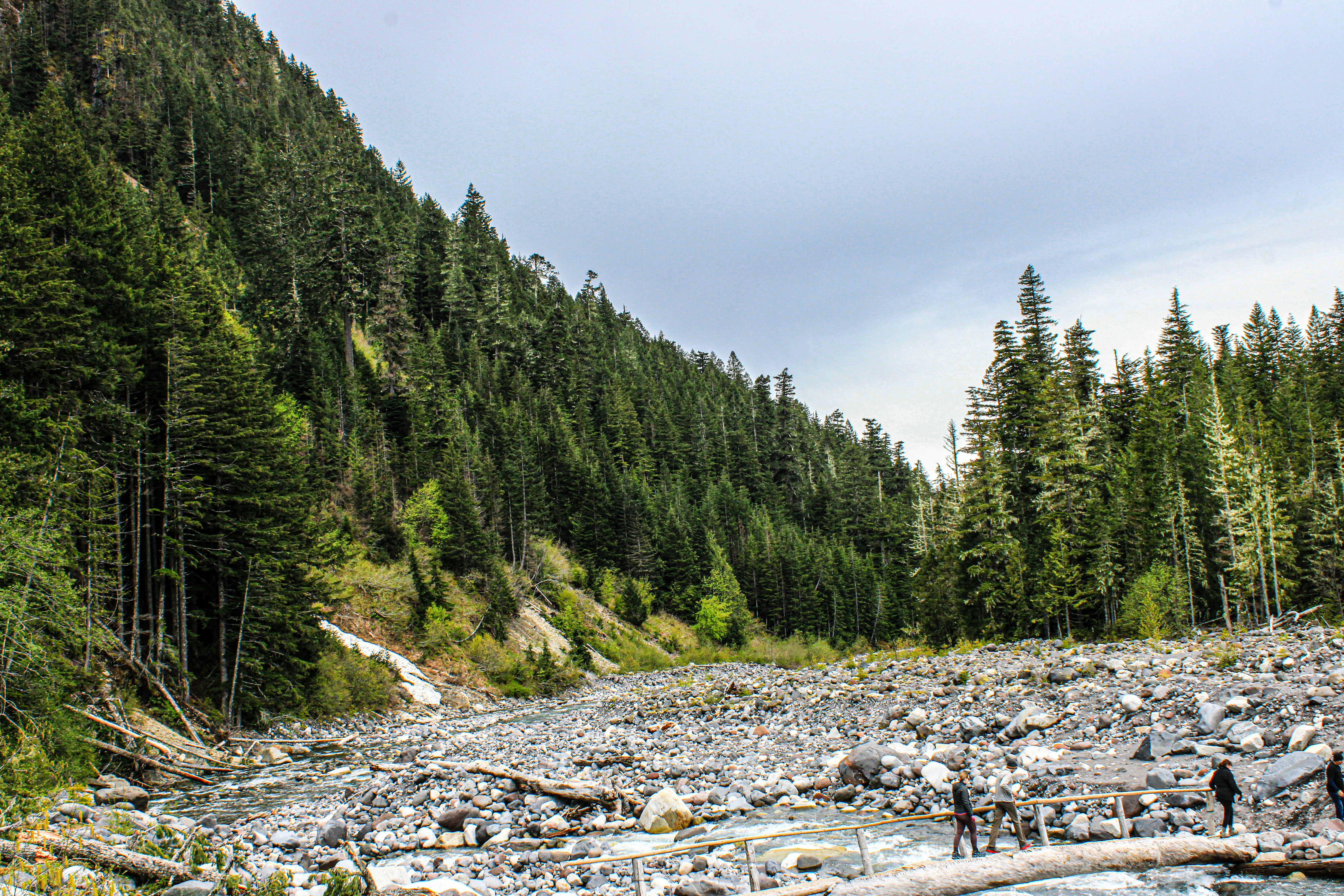 Photo by prphotography262