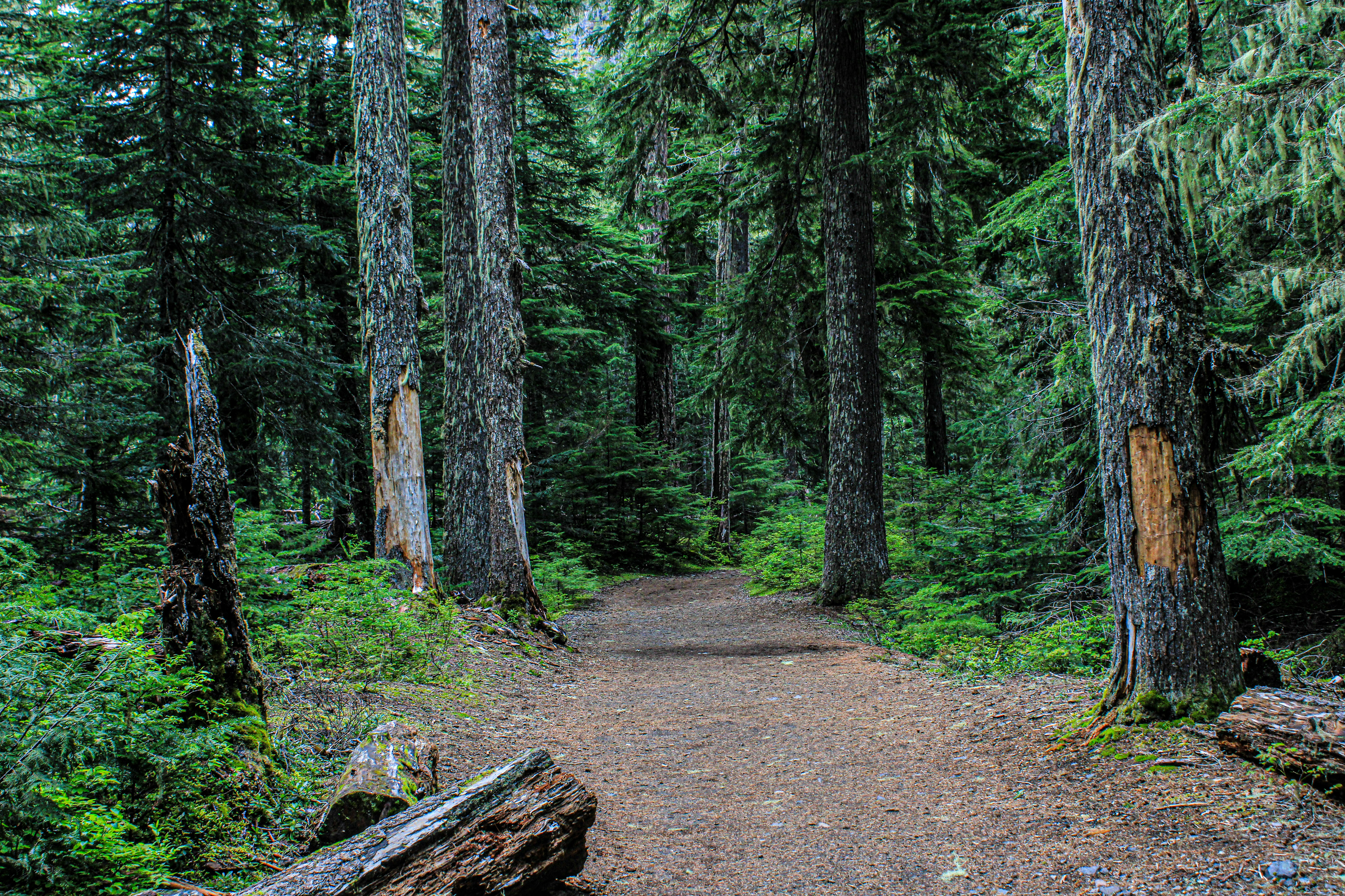 Photo by prphotography262