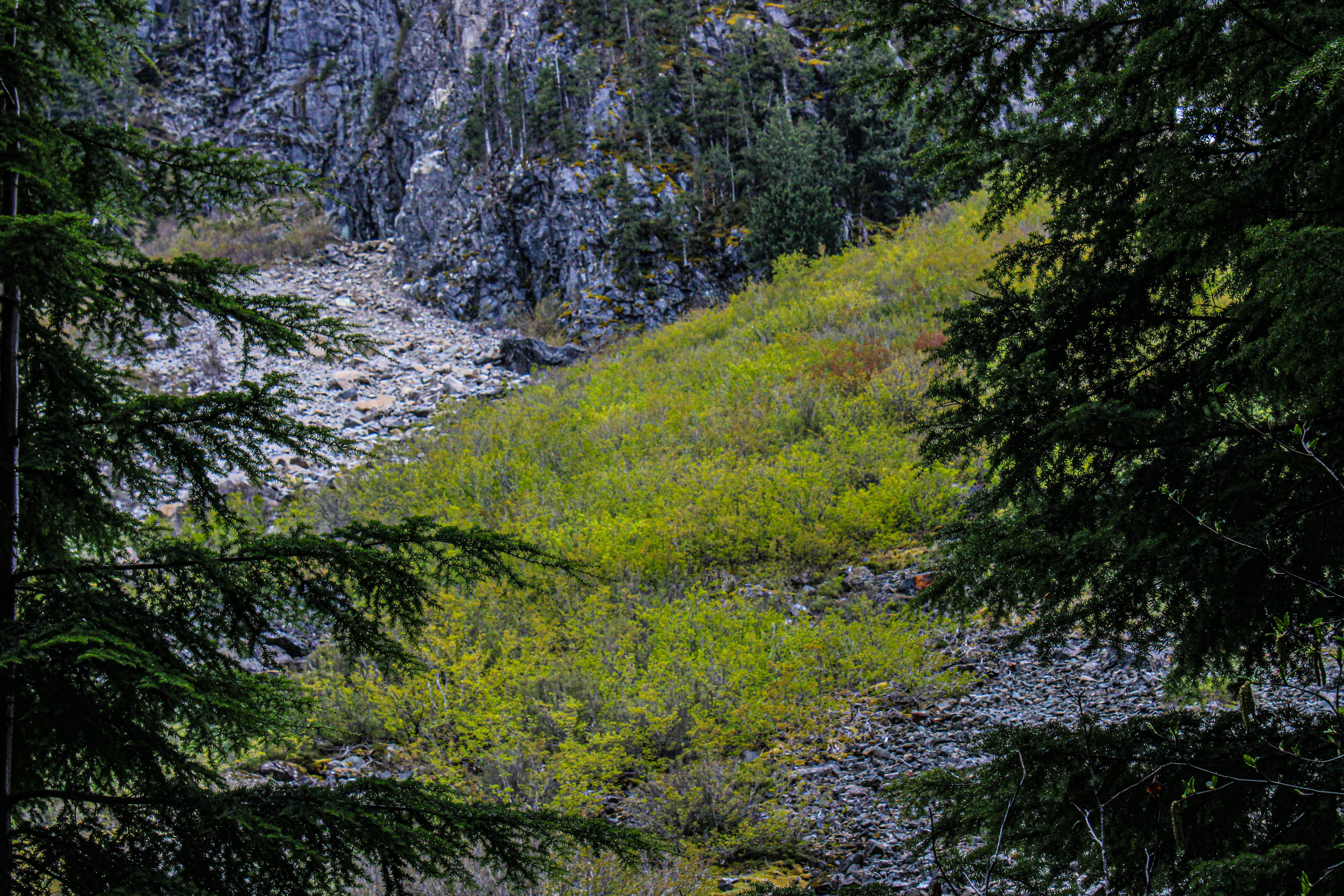 Photo by prphotography262