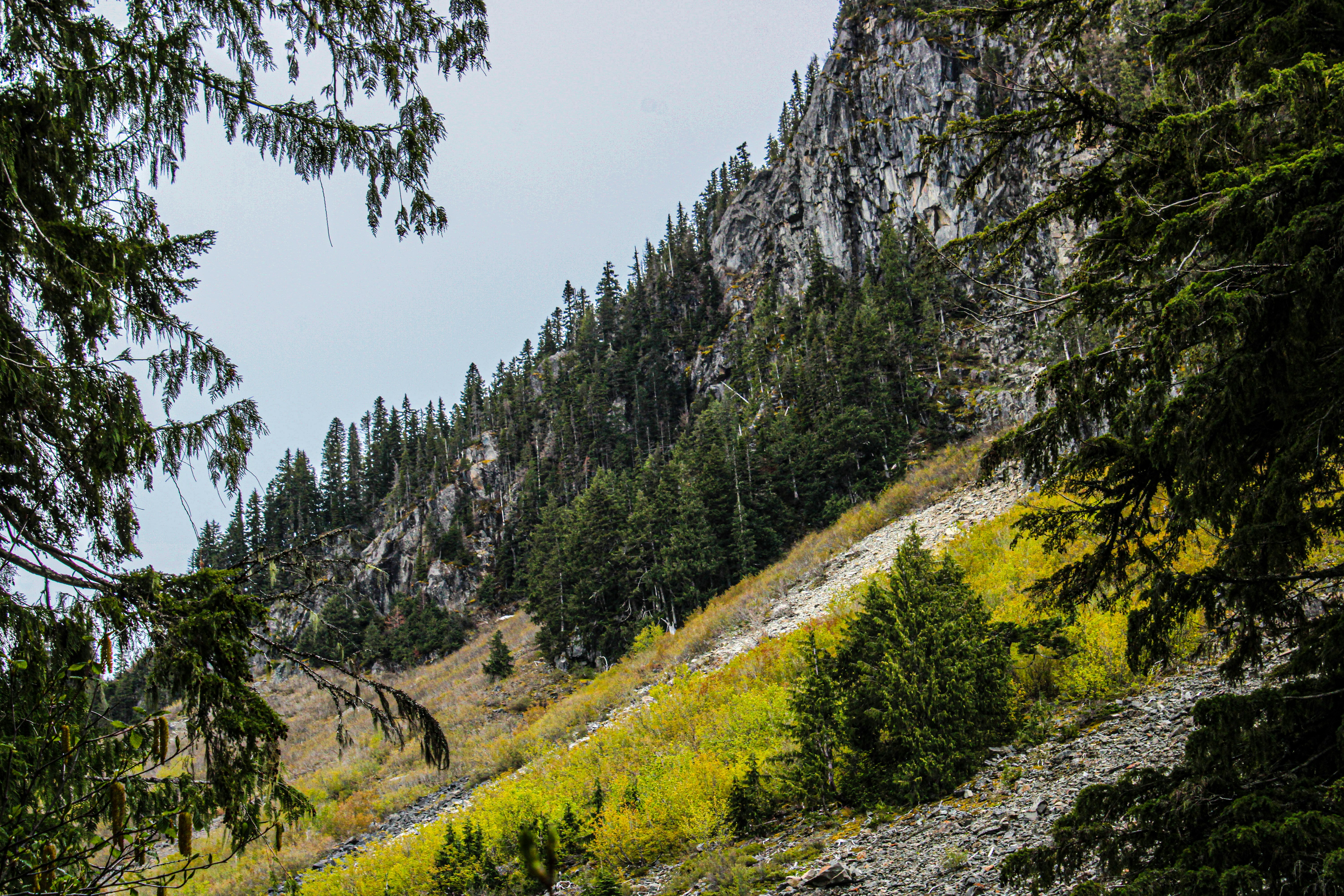 Photo by prphotography262