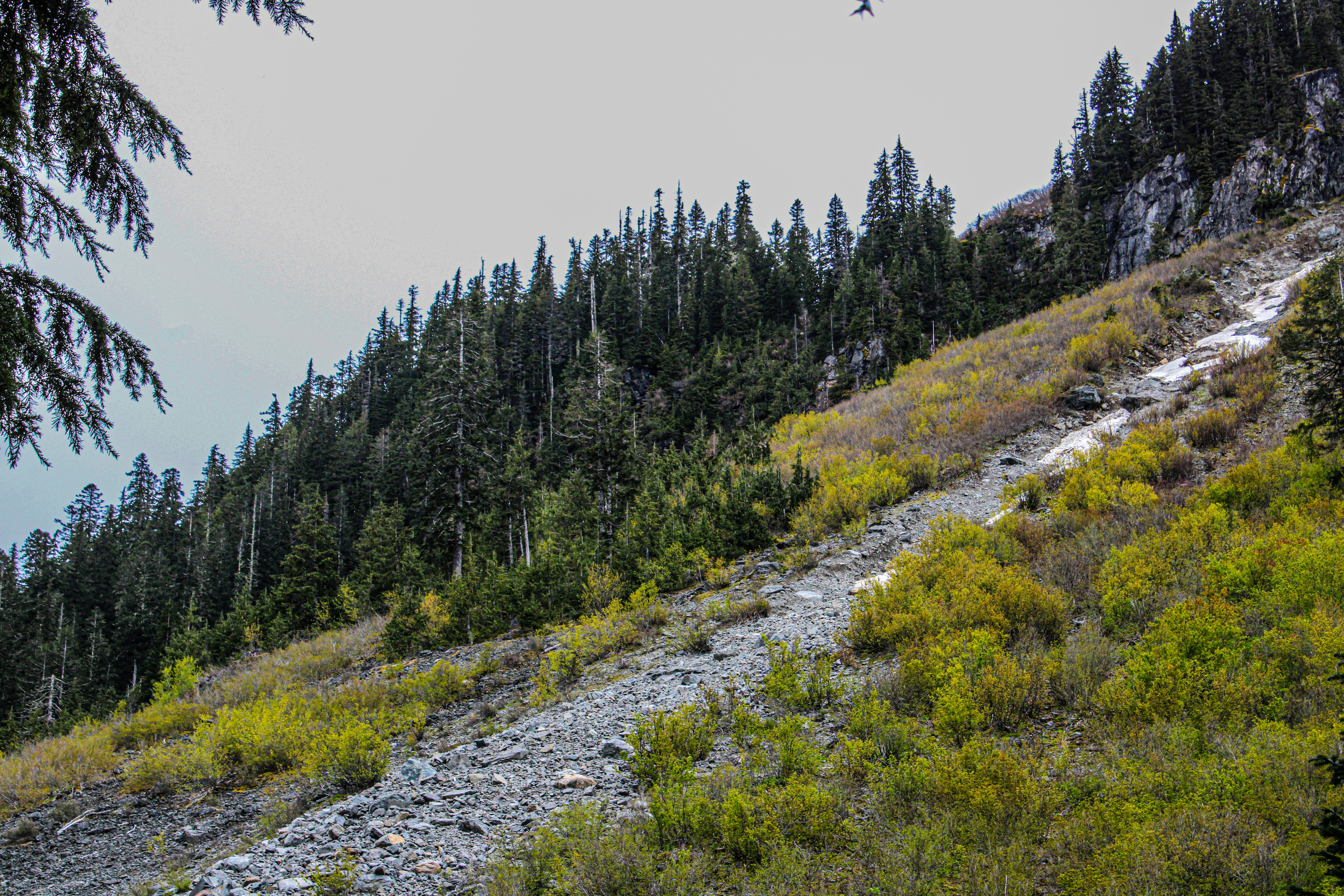 Photo by prphotography262