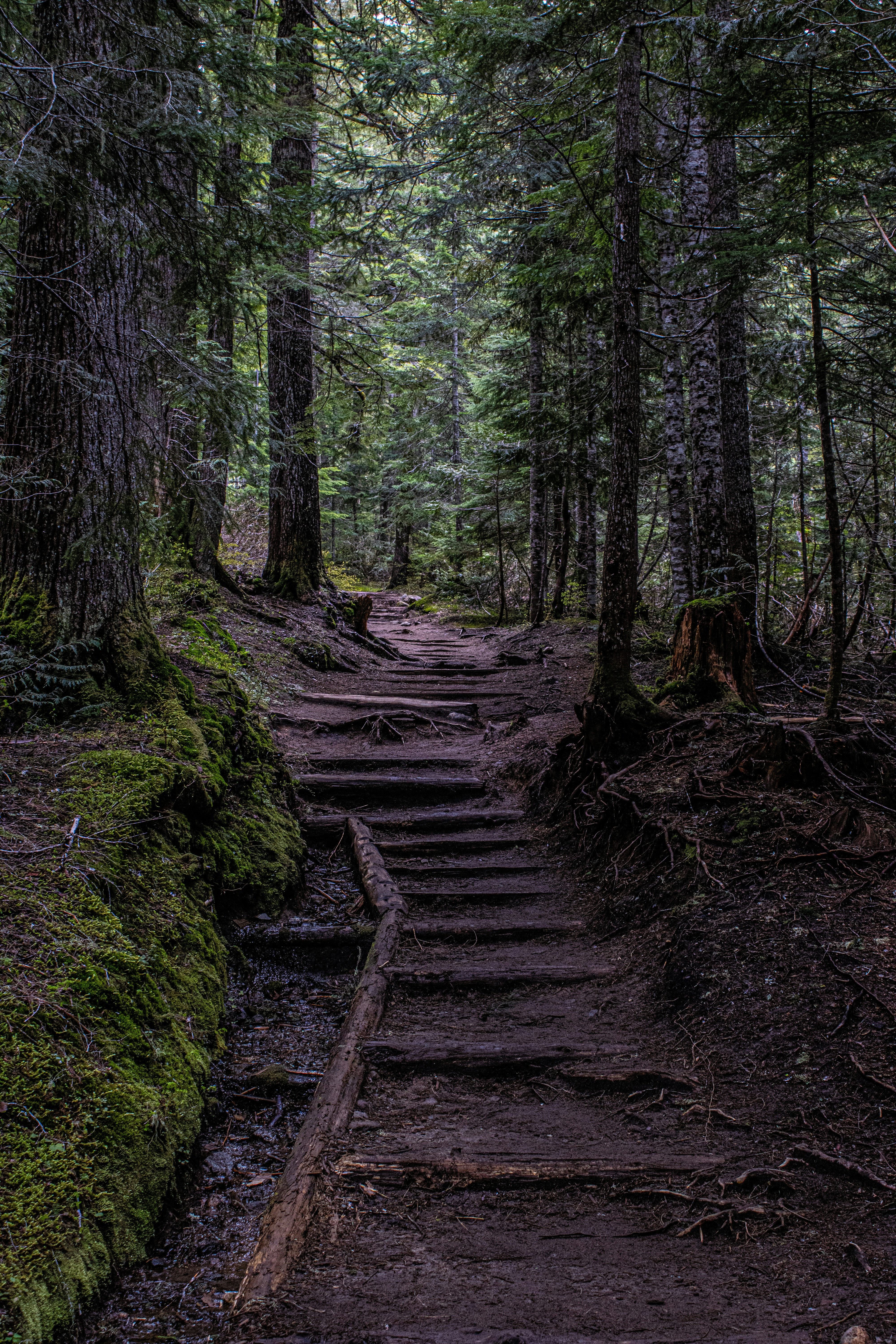 Photo by prphotography262